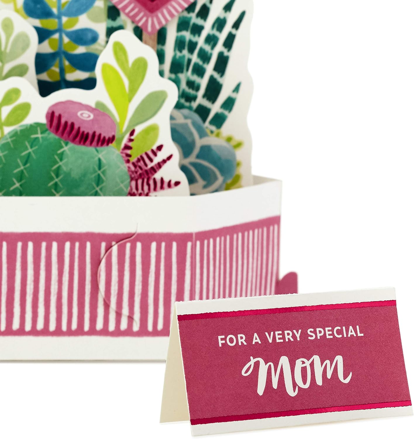 Hallmark Tarjeta de cumpleaños desplegable para mamá (suculentas y flores que se pueden exhibir) (paquete de 2)