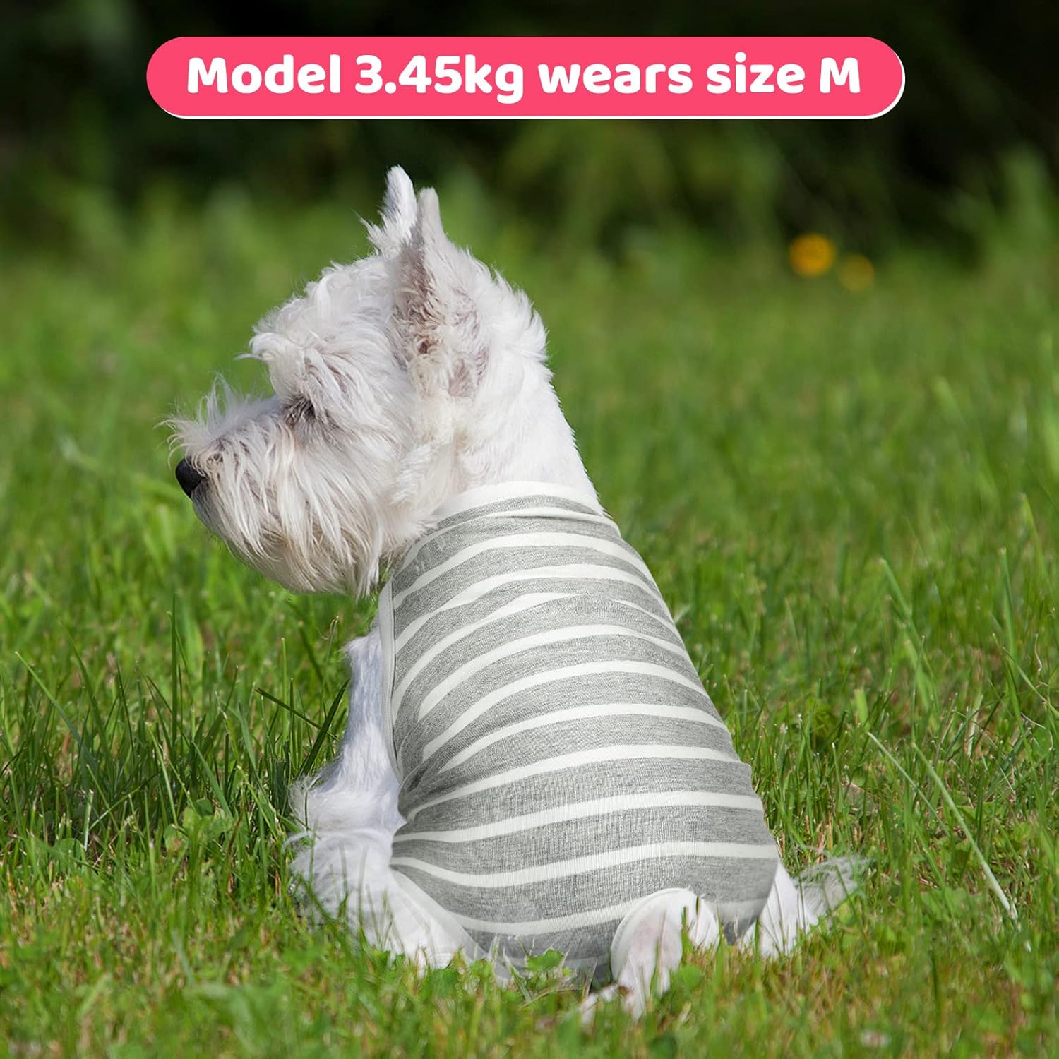 Frienda 3 pañales para perro, sanitario para perro con correa ajustable, pantalones con tirantes para hembra, perra, peluche, joven, corgi, bulldog