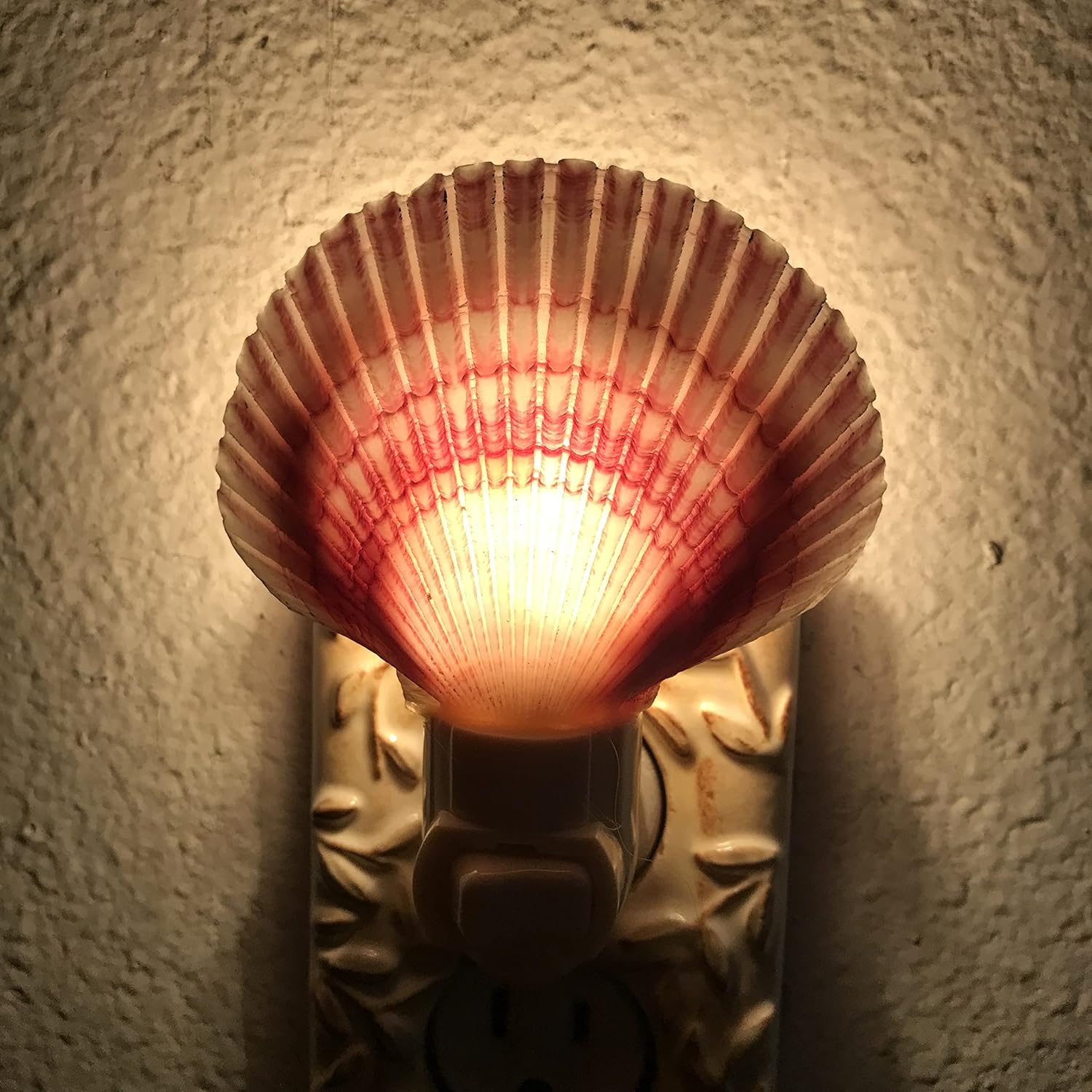 PEPPERLONELY Conchas de mar moradas, luz nocturna natural, conchas marinas, decoración del hogar, tamaño de concha de 3 pulgadas