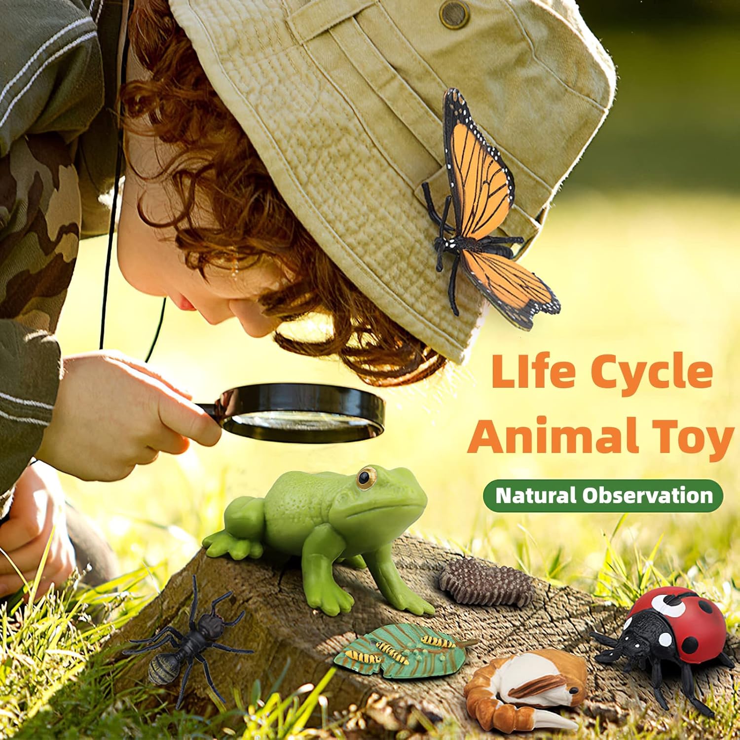 Ciclo de vida de abeja Montessori con tarjetas flash, figuras de animales realistas, juego educativo de animales a juego para niños pequeños de 3