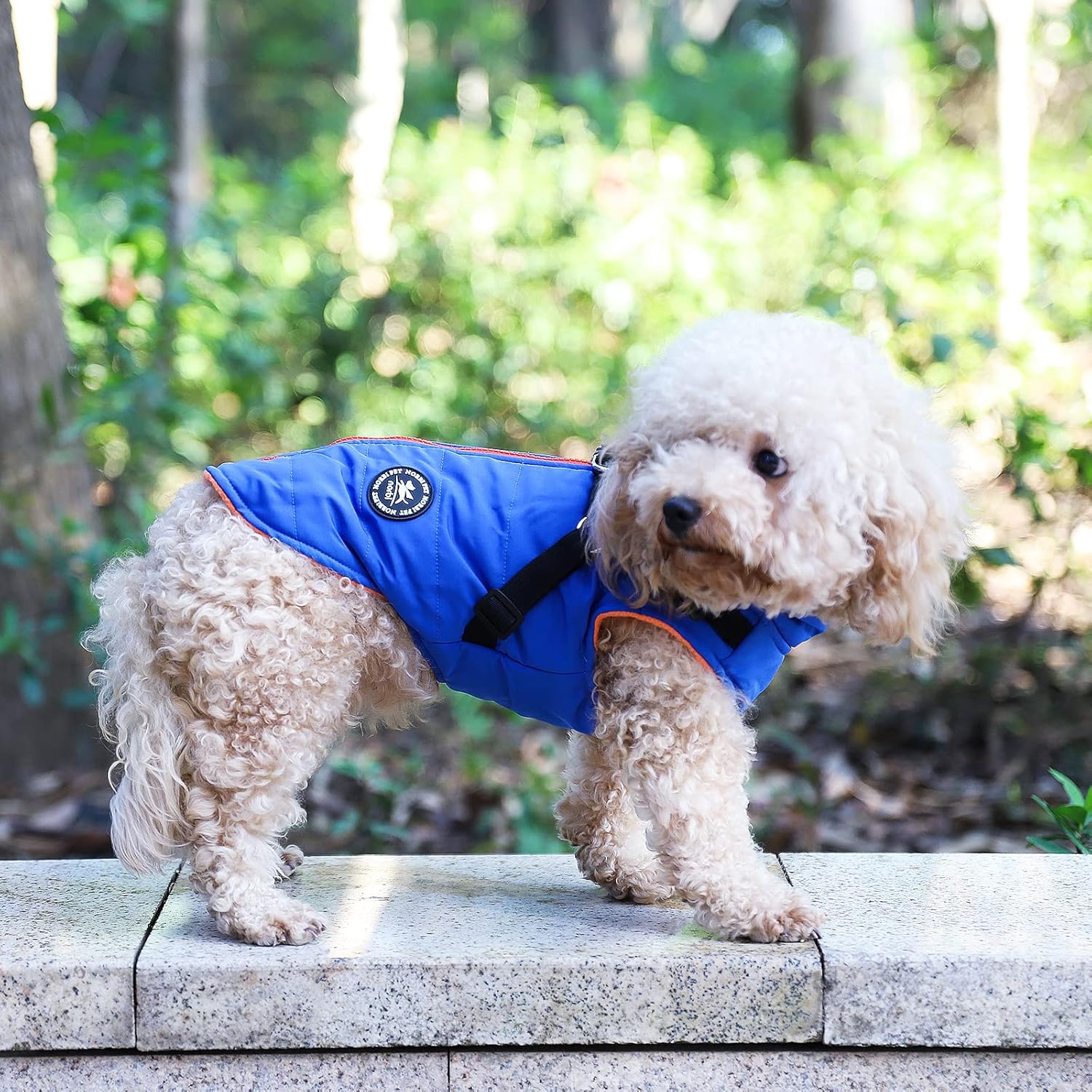 Norbi – Chaqueta cálida para mascotas, arnés de chaleco para perros pequeños, abrigo de invierno 2 en 1 para cachorros, abrigo para clima frío