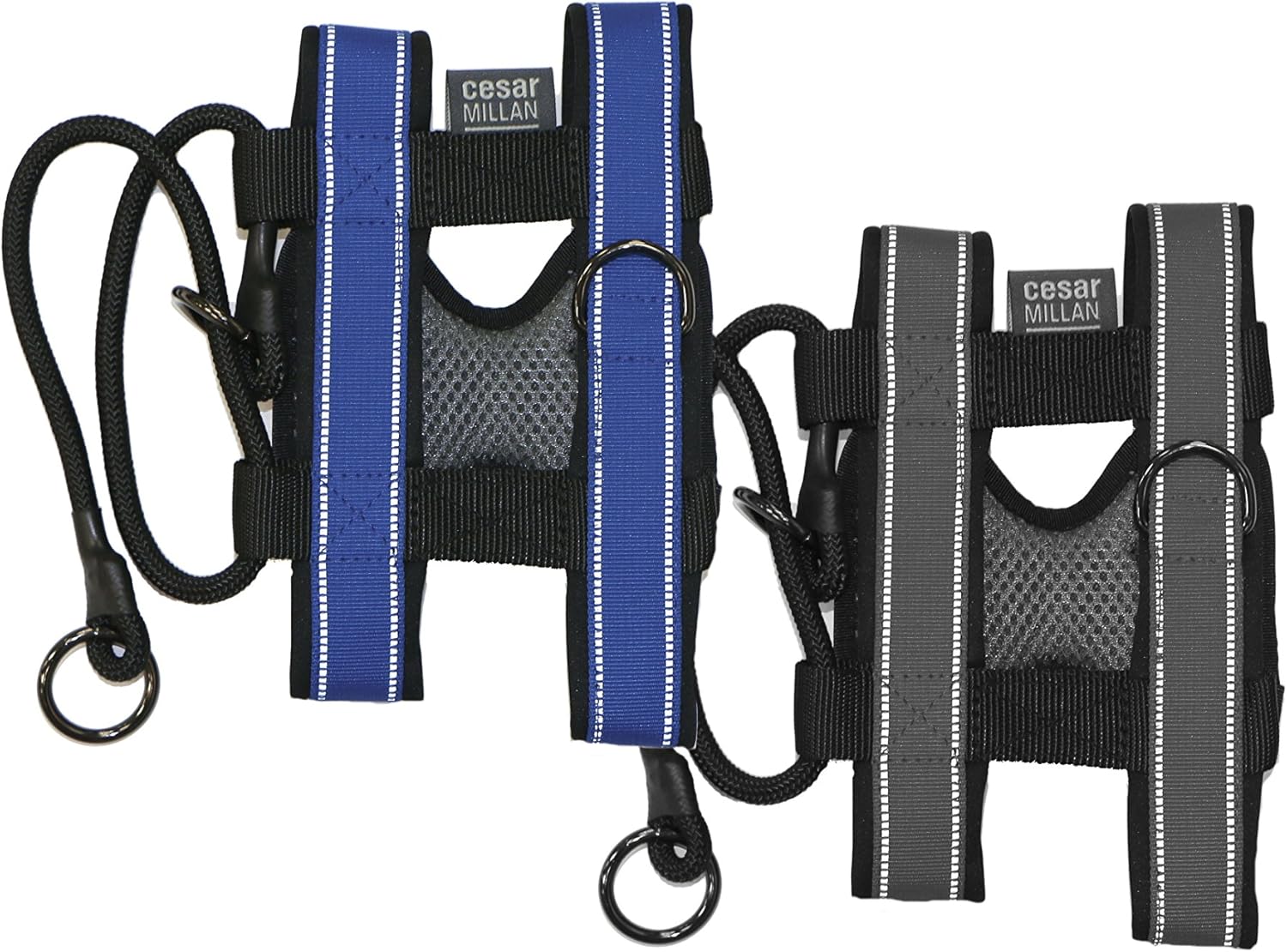 Cesar Millan Pack Leader Collar – Collar de entrenamiento del perro susurrador (pequeño, gris)