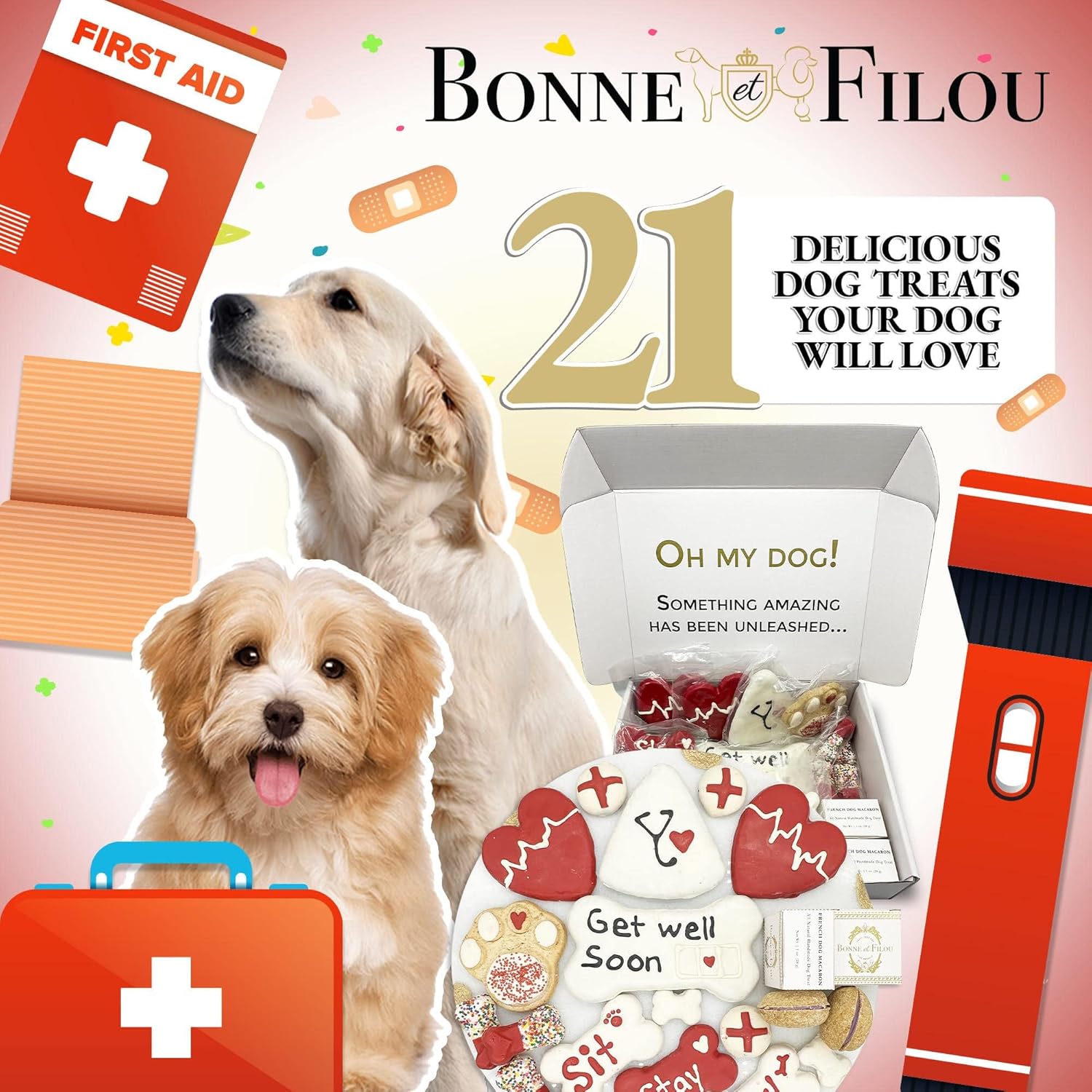 Bonne et Filou – Caja de regalo de golosinas para perros con temática de Get Well Soon – Golosinas gourmet de lujo para perros, 21 golosinas
