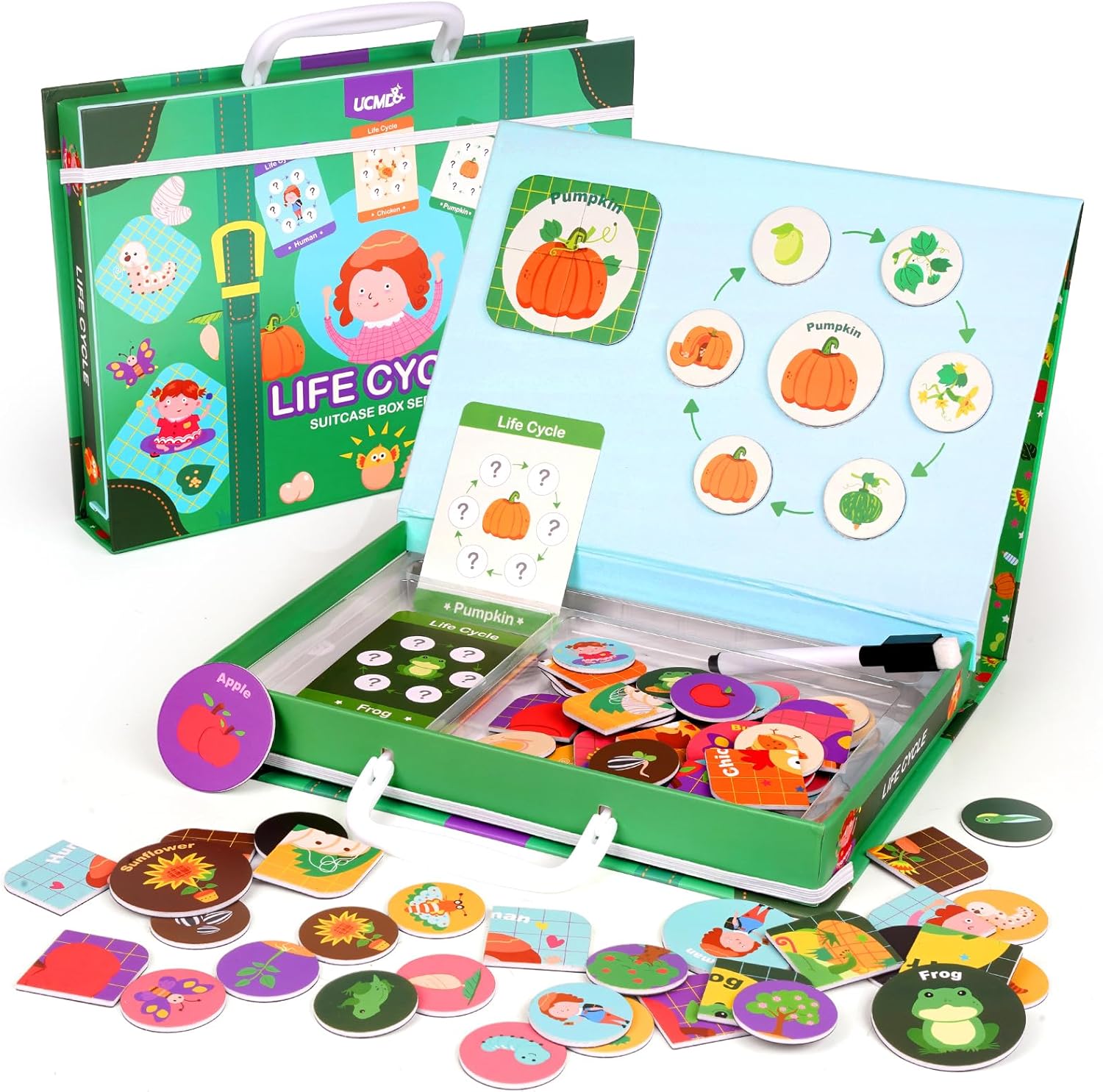 Juguetes educativos de ciclo de vida para niños, magnético ciclo de vida ocupado libro de aprendizaje Montessori, juego a juego para niños pequeños
