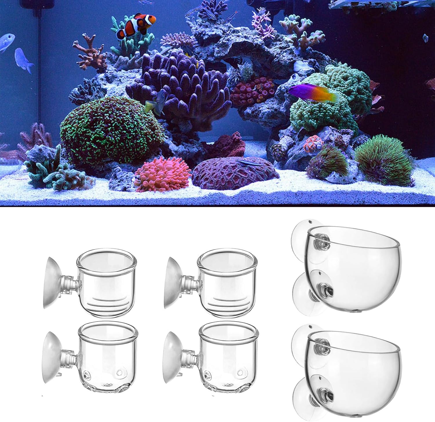 LIDSCURA Macetas acuáticas con agujero de cristal para plantas acuarias, 3 estilos, maceta acuática con ventosas, decoración de acuario para