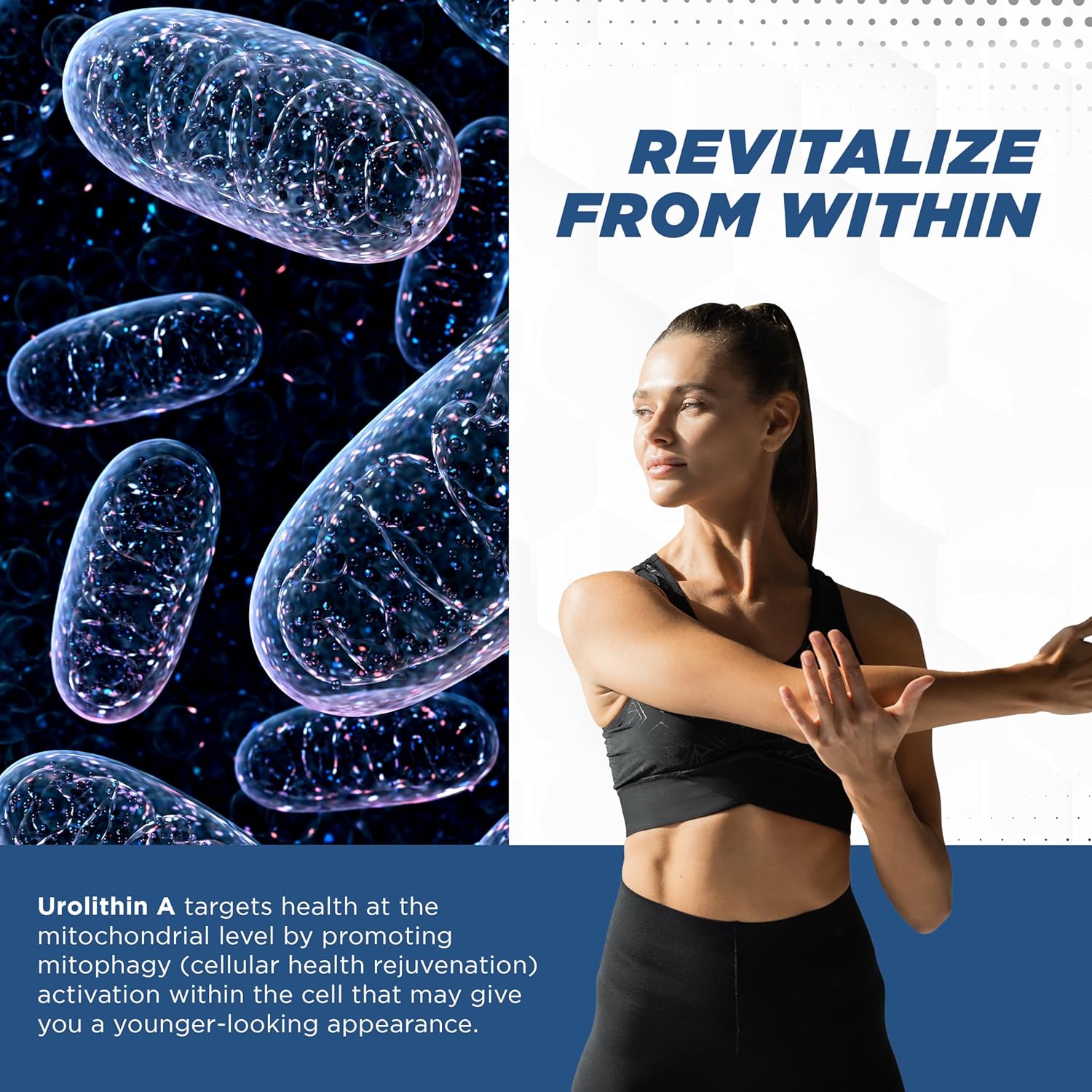 ProMito – Suplemento de urolitina A  500 mg de urolitina pura Un suplemento dietético para hombres y mujeres  Buena alternativa a NMN, NAD, CoQ10,