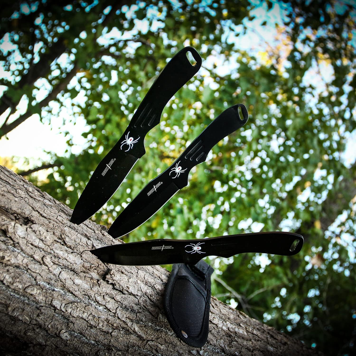 BladesUSA Perfect Point – Cuchillos para lanzar  Juego de 3  Cuchillas y asas de acero inoxidable negro con diseño de araña, funda de nailon,