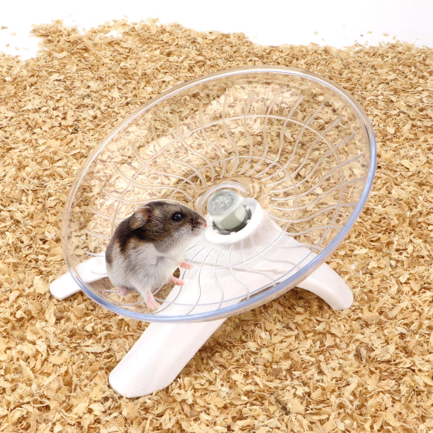 Rueda de hámster silenciosa, rueda de ejercicio para hámster, plato volador para hámsters, jerbos, ratones y otras mascotas pequeñas (blanco)