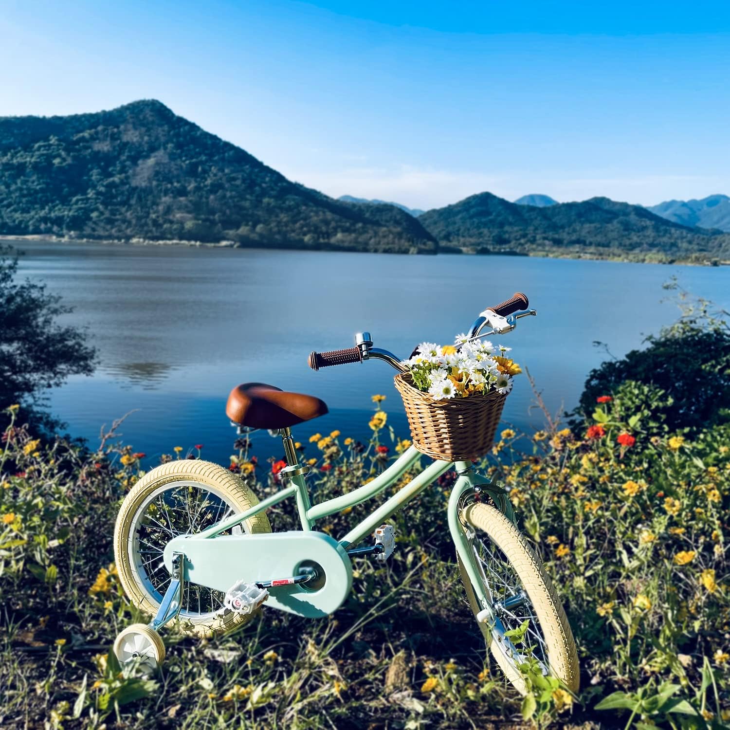 Petimini Bicicleta para niñas con cesta para niños de 2 a 12 años, bicicleta de 12, 14, 16, 18 y 20 pulgadas, con ruedas de entrenamiento de