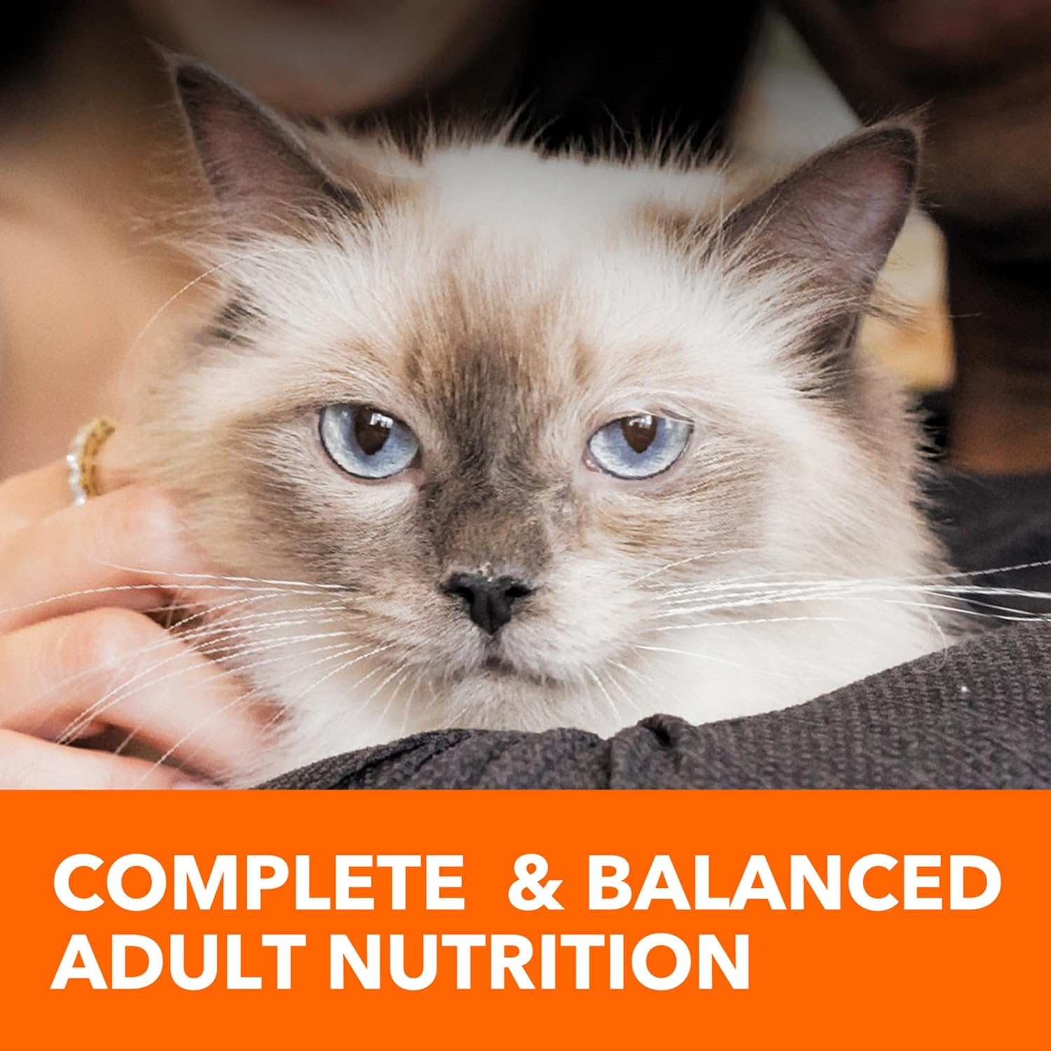 Alimento seco para gato adulto IAMS Proactive Health Specialized Care