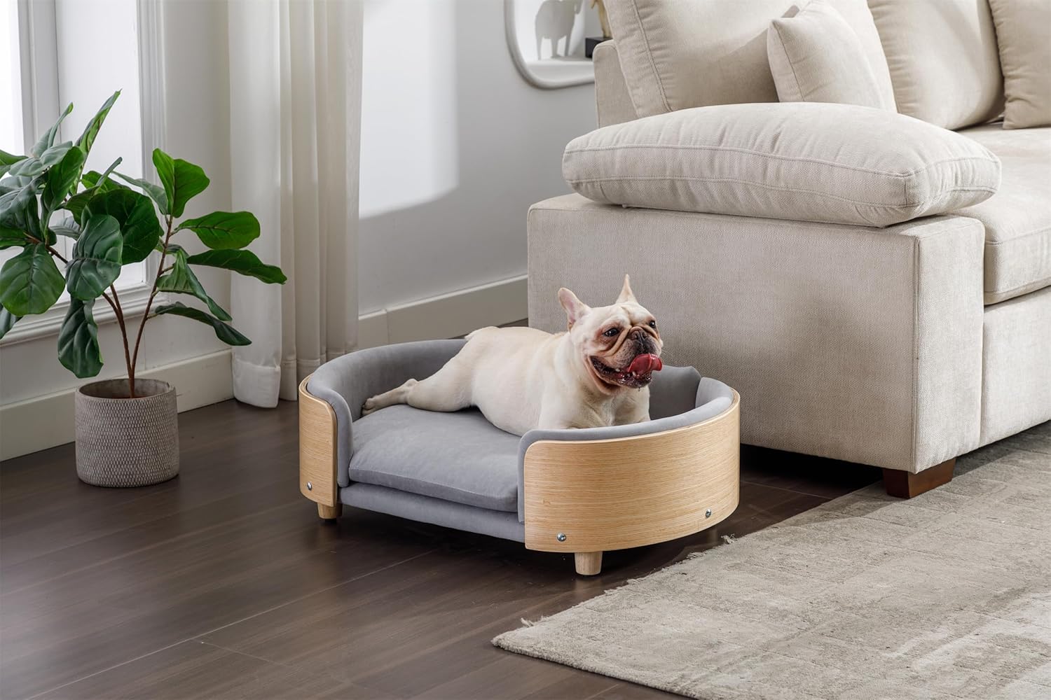HomSof Cama elevada para perro de 30.7 pulgadas, sofá para mascotas con patas de madera maciza y respaldo de madera doblada, cojín de terciopelo,
