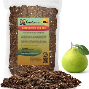 Mezcla de tierra de pomelo prémium de Gardenera, tierra de drenaje rápido para macetas para cultivar y trasplantar cítricos Maxima – 10 cuartos de Mezcla de tierra de pomelo prémium de Gardenera, tierra de drenaje rápido para macetas para cultivar y trasplantar cítricos Maxima – 10 cuartos de