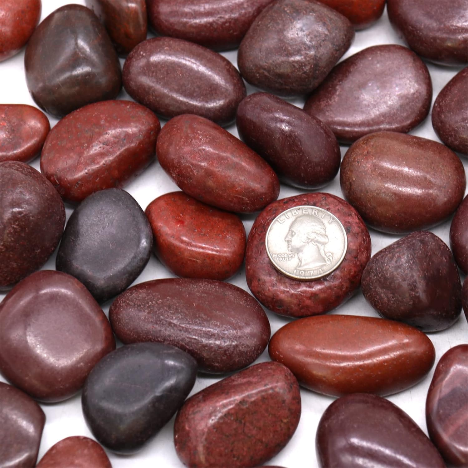 Koltose by Mash Piedras rojas pulidas de 10 libras. Rocas de  a 1 pulgada para plantas, jardín, paisajismo, suculentas, pecera, grava, terrario,