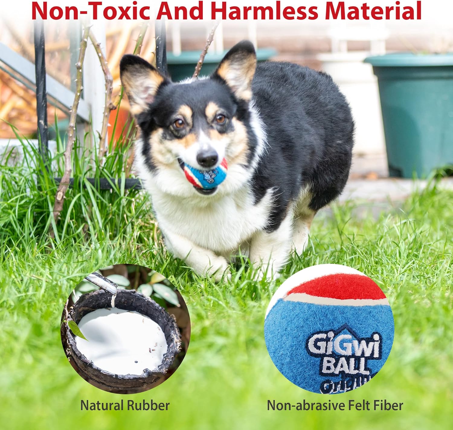 GiGwi Pelotas de tenis para perros, pelotas de tenis para perros chirriantes para ejercicio, pelotas de perro con gran capacidad de rebote de