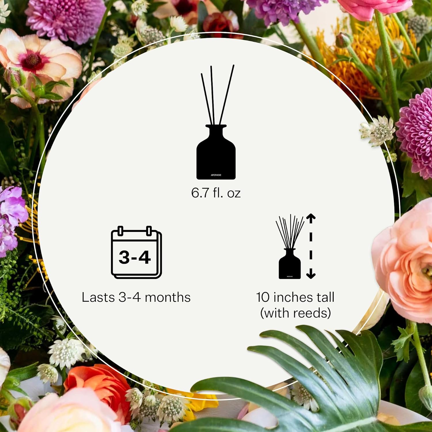 Apotheke Difusor de varillas de aceite perfumado de lujo para el hogar (roble tonka) – Juego de difusor de fragancia para el hogar con varillas