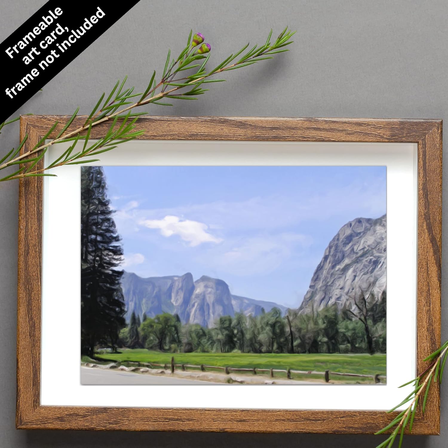 5 x 7 Nature Greeting Card, Blank Inside, with Envelope and Artists Statement, Title Yosemite Valley