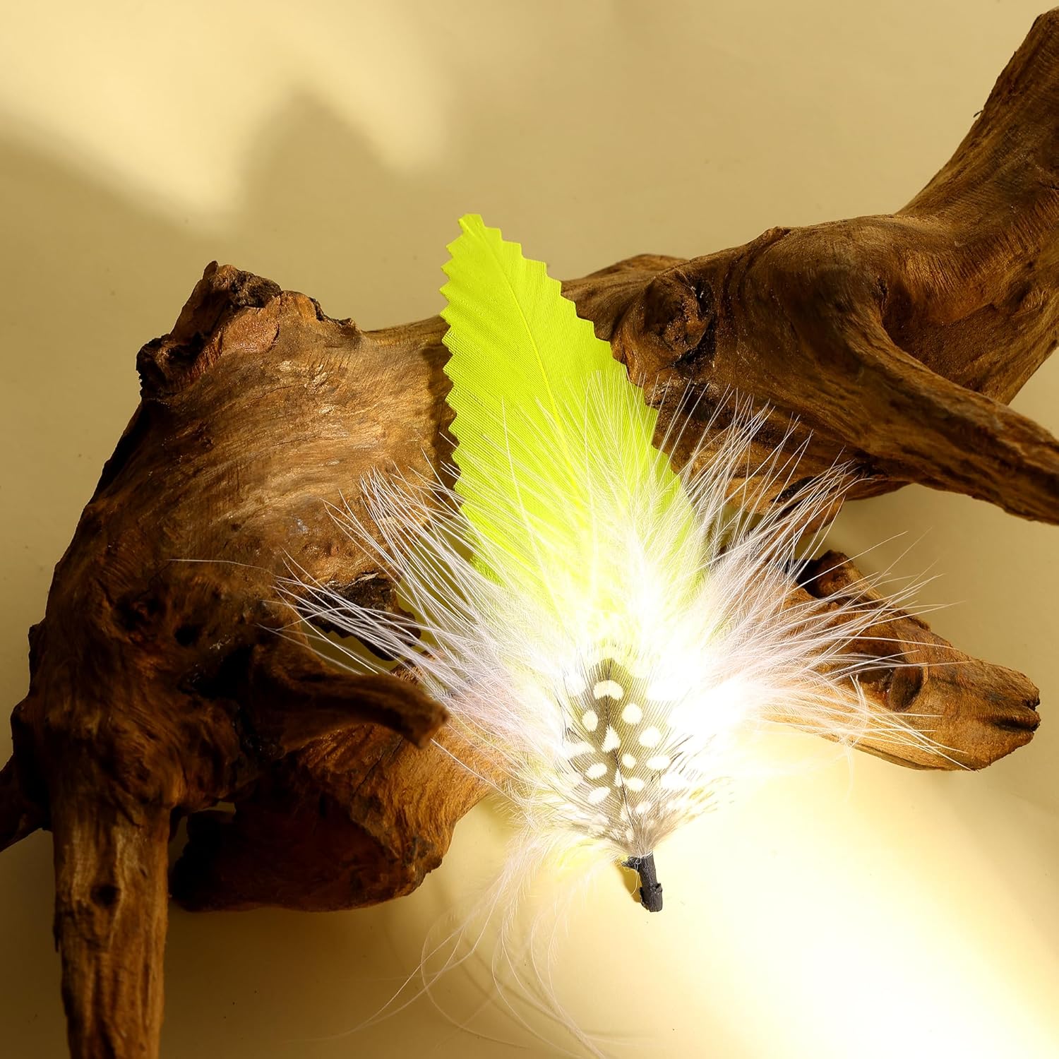 Plumas de sombrero 20 estilos surtidos de plumas para sombreros Fedora, accesorios coloridos de plumas reales para hombres y mujeres