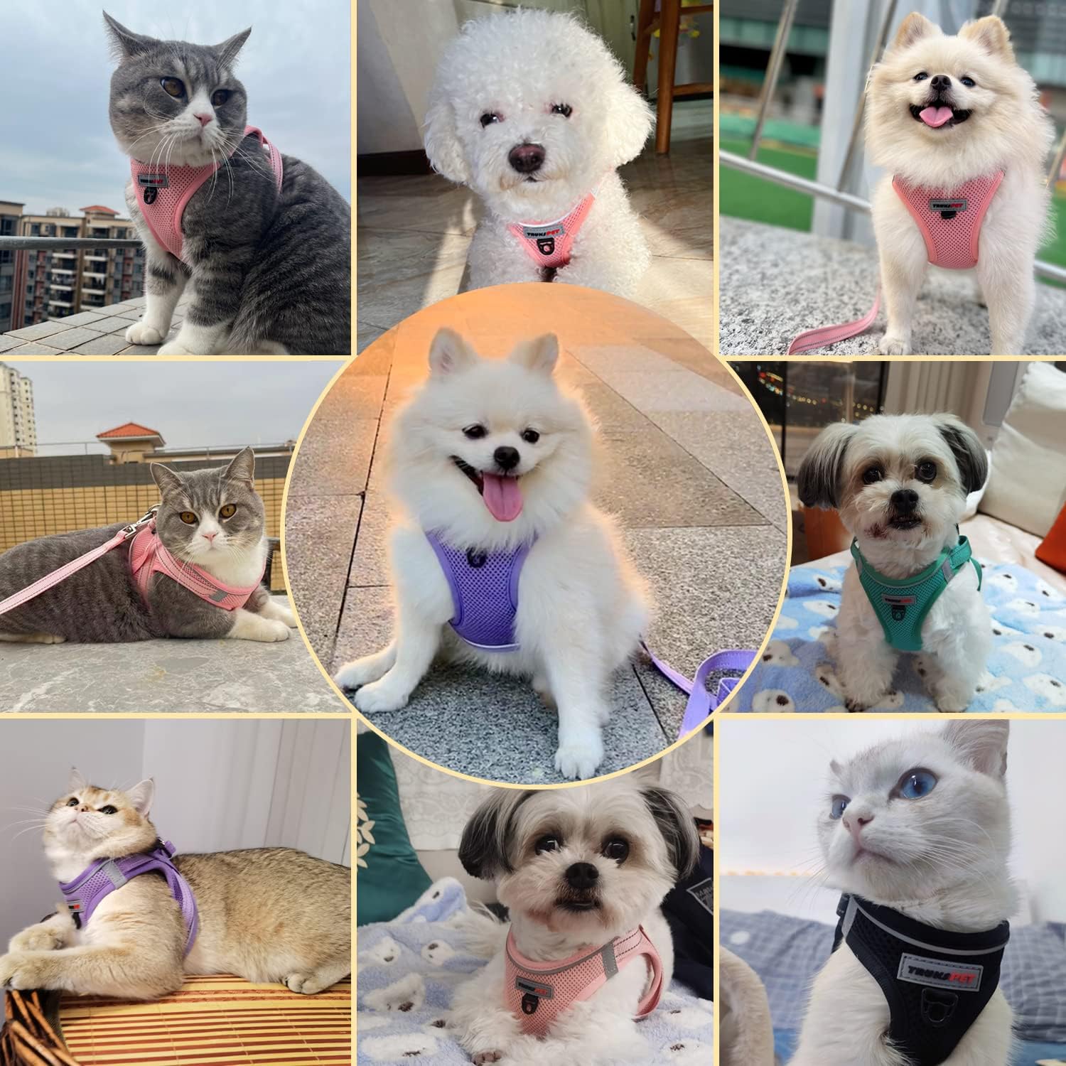 Juego de arnés y correa para perro, arnés sin tirones para perro, ajustable y reflectante de tela de malla acolchada, chaleco para perros y gatos