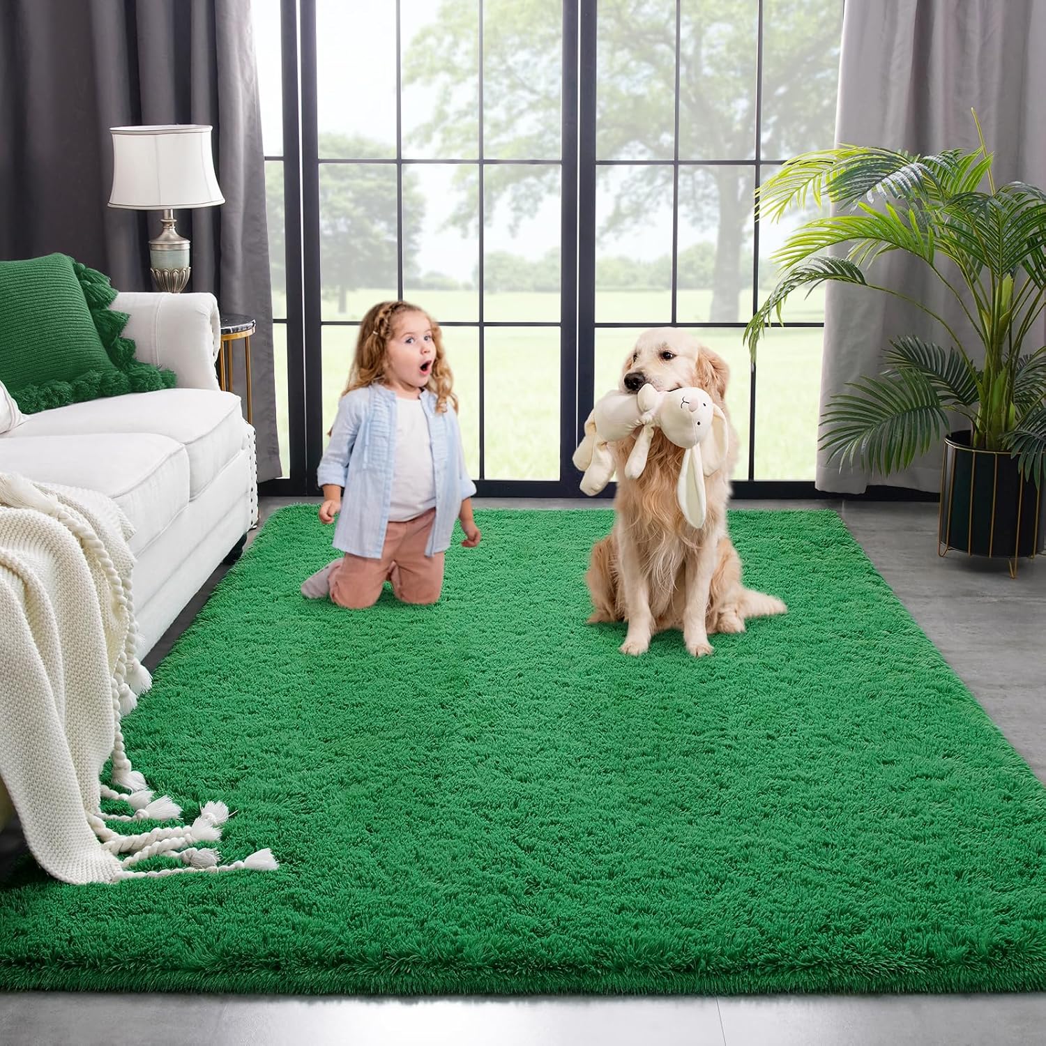 Kimicole Alfombra de área para dormitorio, sala de estar, decoración del hogar, alfombra mullida mejorada de 5 x 8 pies para apartamento,