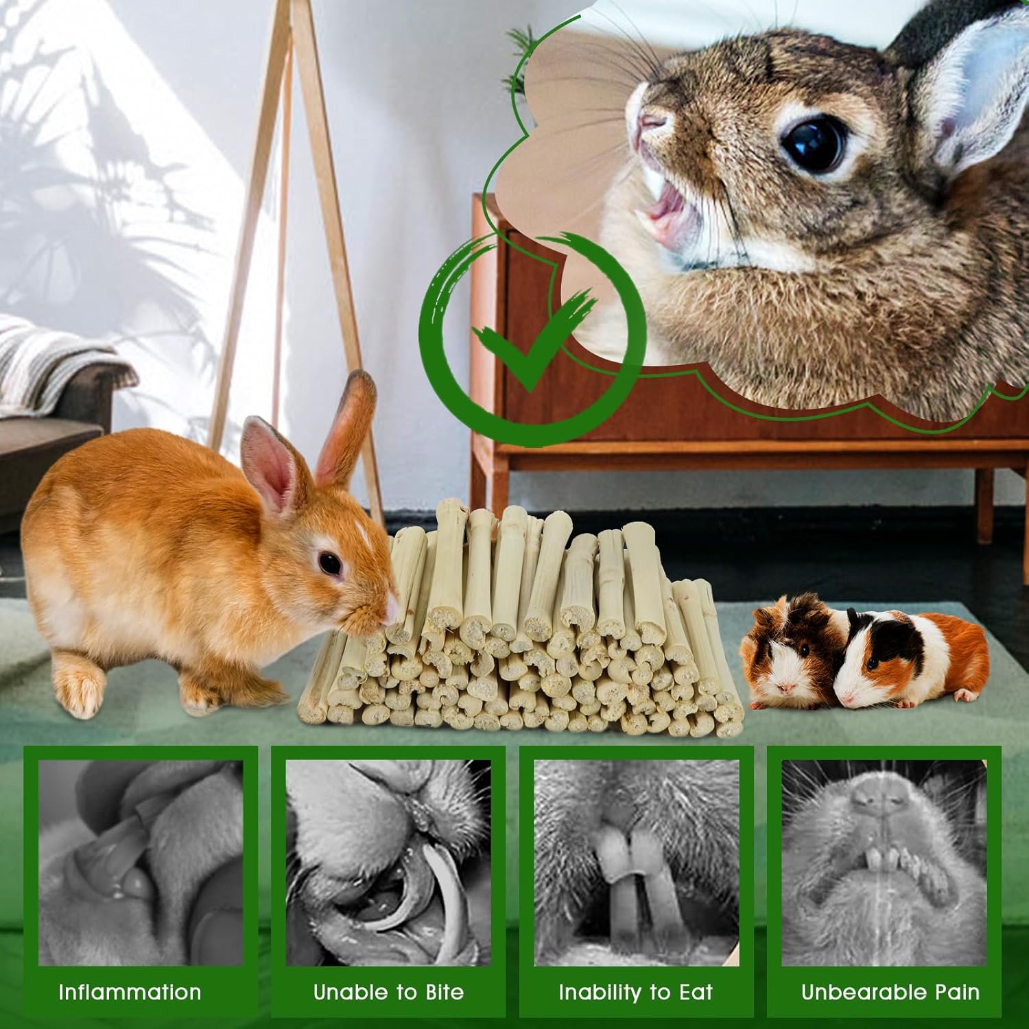BWOGUE 35.27 oz Pet Snacks Dulce Bambú Masticar Juguete para Ardilla Conejos Guinea Pigs Chinchilla Hamster