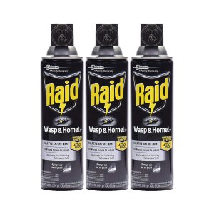 Raid Wasp Hornet Killer Spray (14 onzas (paquete de 3)) Raid Wasp Hornet Killer Spray (14 onzas (paquete de 3))