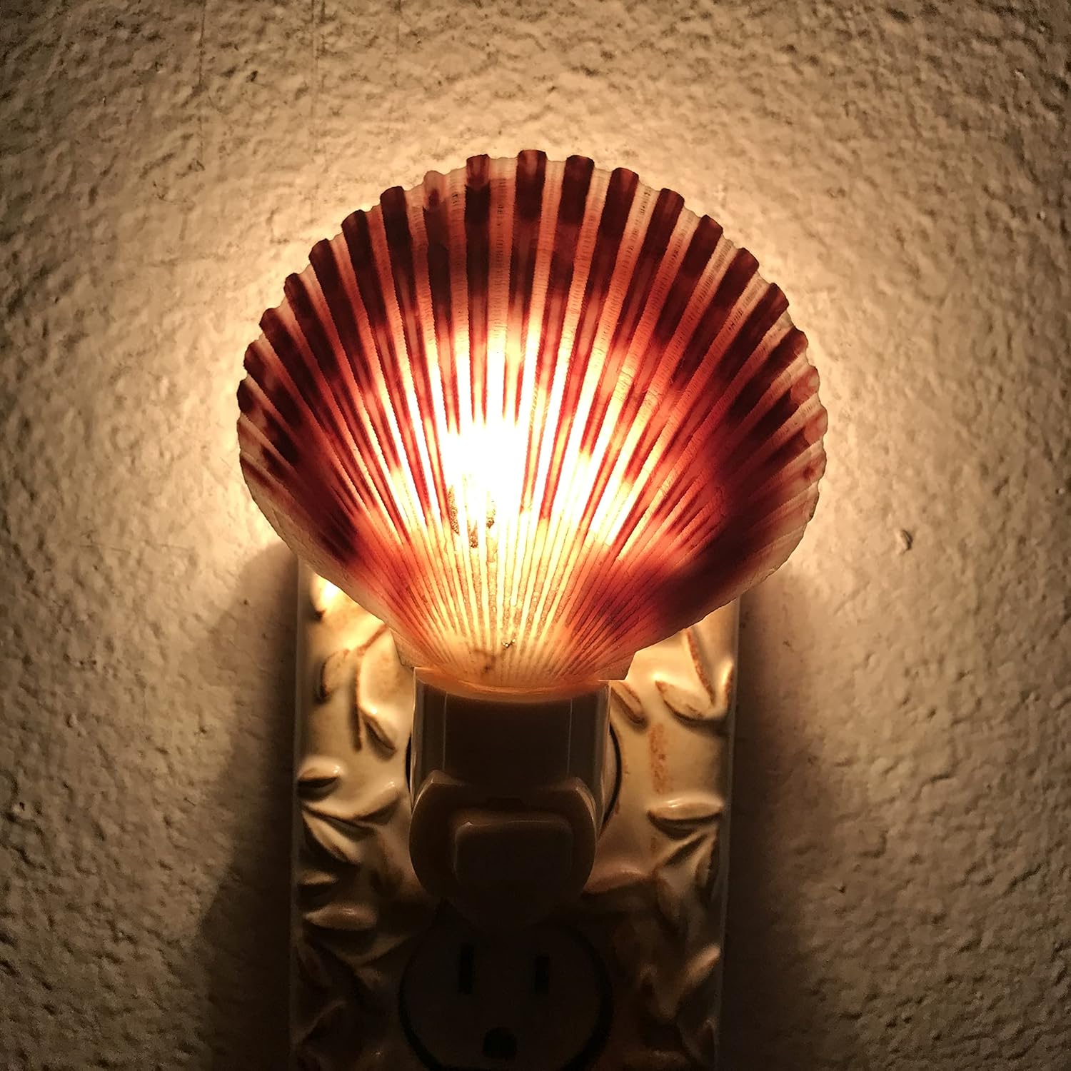 PEPPERLONELY Conchas de mar moradas, luz nocturna natural, conchas marinas, decoración del hogar, tamaño de concha de 3 pulgadas