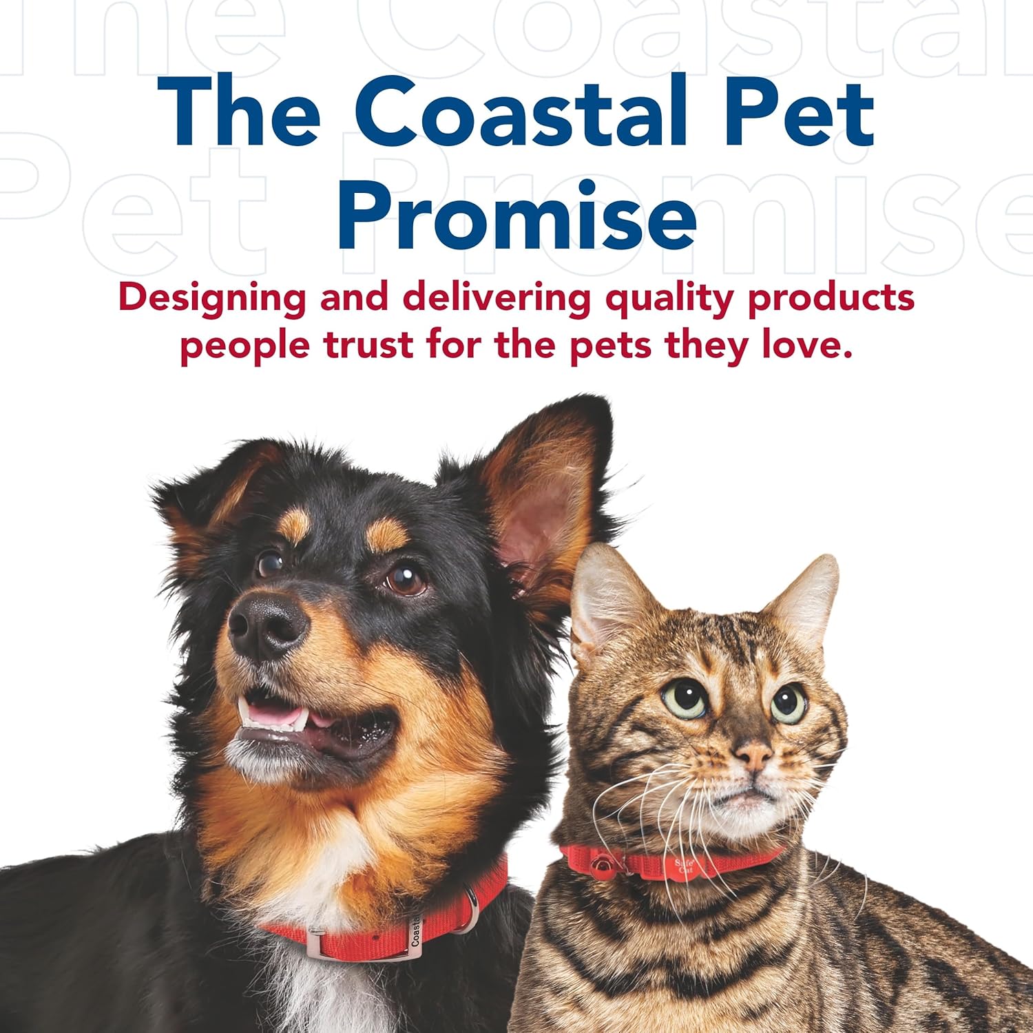 Coastal Pet Titan – Collar de entrenamiento de cadena para perro, herramienta de entrenamiento para perros pequeños, medianos o grandes, cromado,