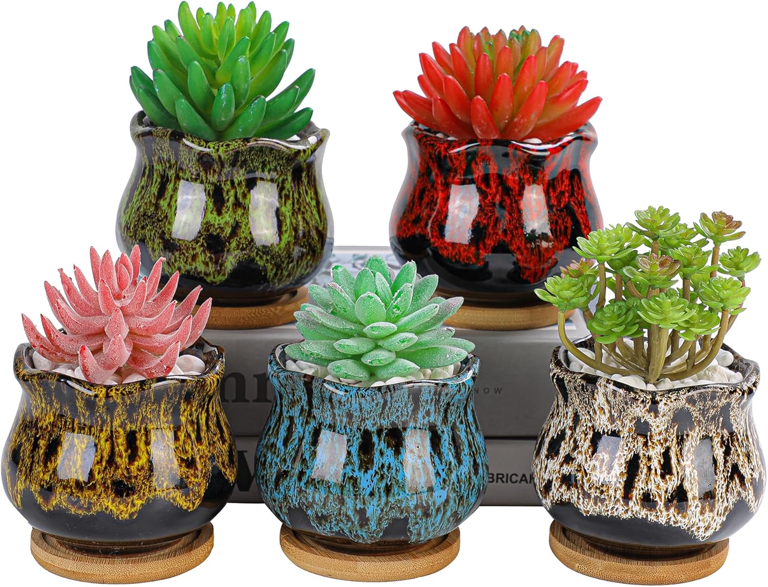 Lindas macetas de cerámica para suculentas, maceta con drenaje y platillo adjunto, juego de 5 plantas no incluidas (Fambe)