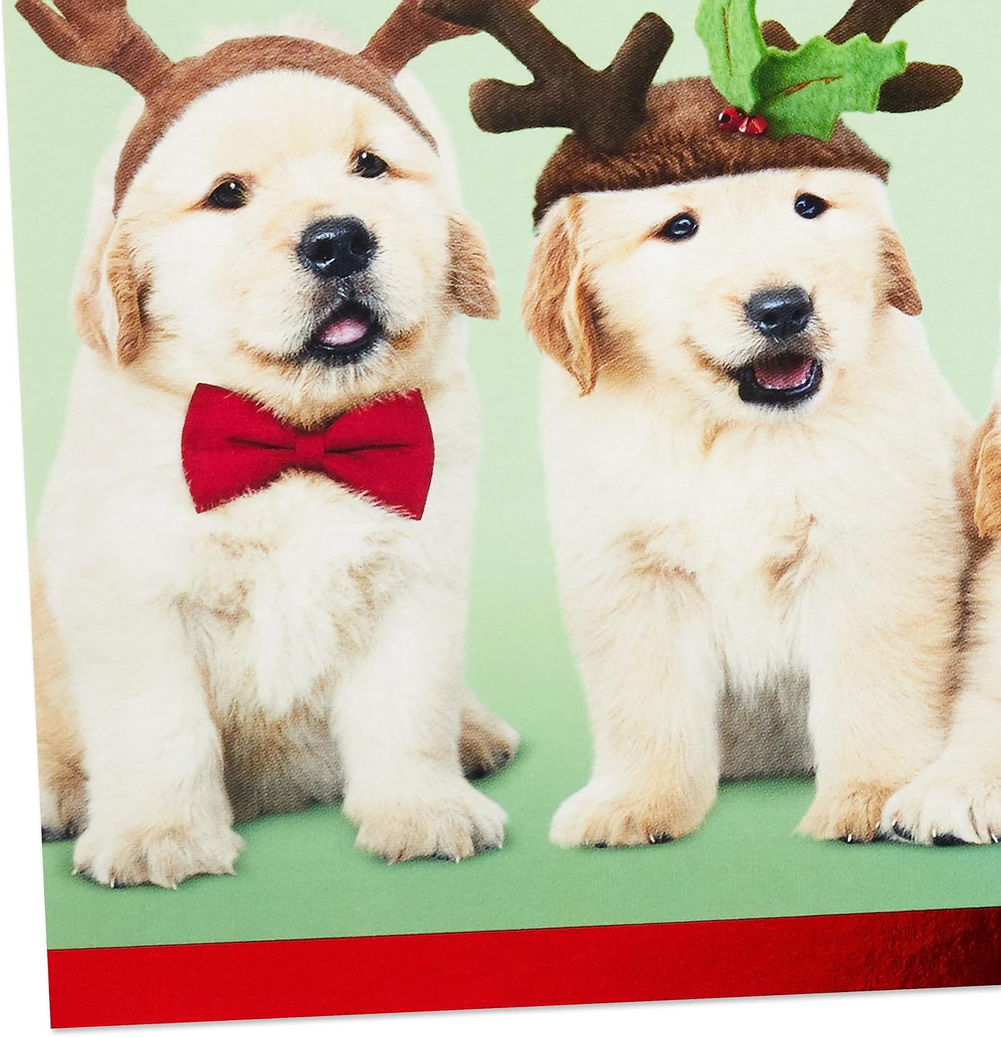 Hallmark Portatarjetas de regalo o dinero de Navidad (10 tarjetas con sobres) Golden Retriever Puppies