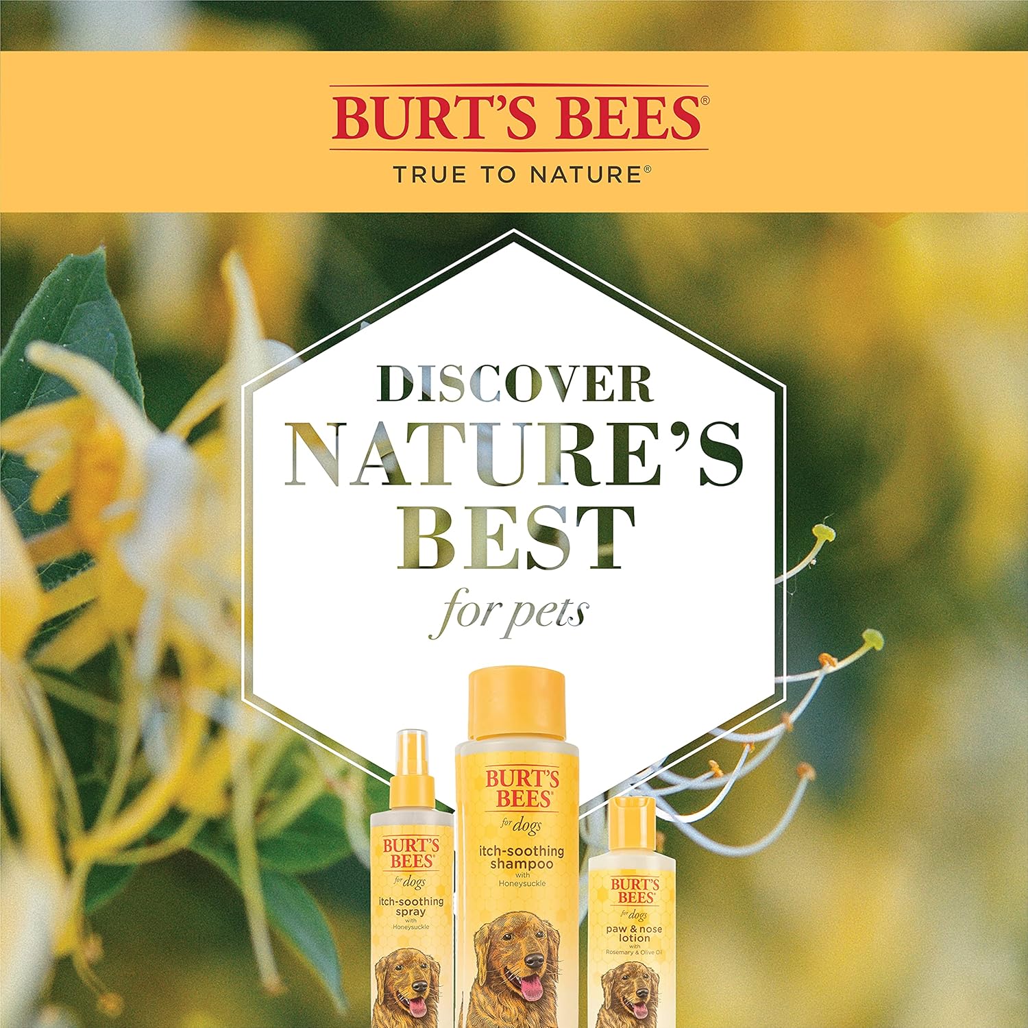 Burt’s Bees Bundle Kit de aseo calmante para la picazón, incluye champú natural calmante para la picazón y spray calmante para la picazón con