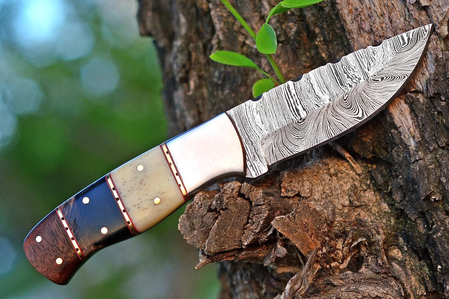 Nuevo hecho a mano 8 pulgadas hoja fija Damasco Bushcraft Skinner para caza al aire libre supervivencia cuchillo con funda de cuero