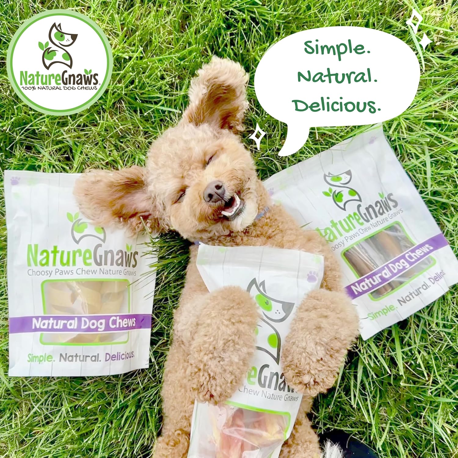 Nature Gnaws – Chips crujientes de Estados Unidos para perros – Golosinas naturales masticables para perros de un solo ingrediente – Fabricado en