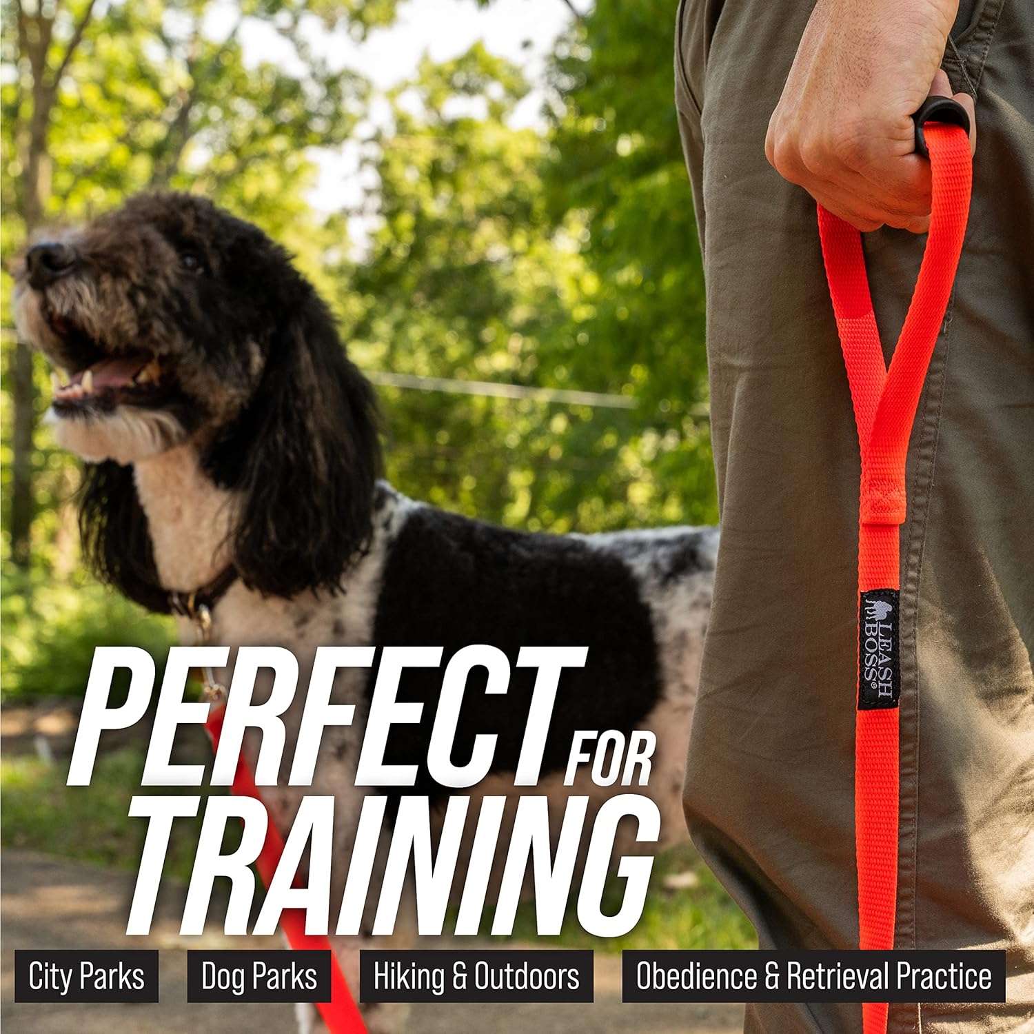 Leashboss – Correa de plomo extra larga para entrenamiento de perros – Correa para perros de fuera de 30 pies