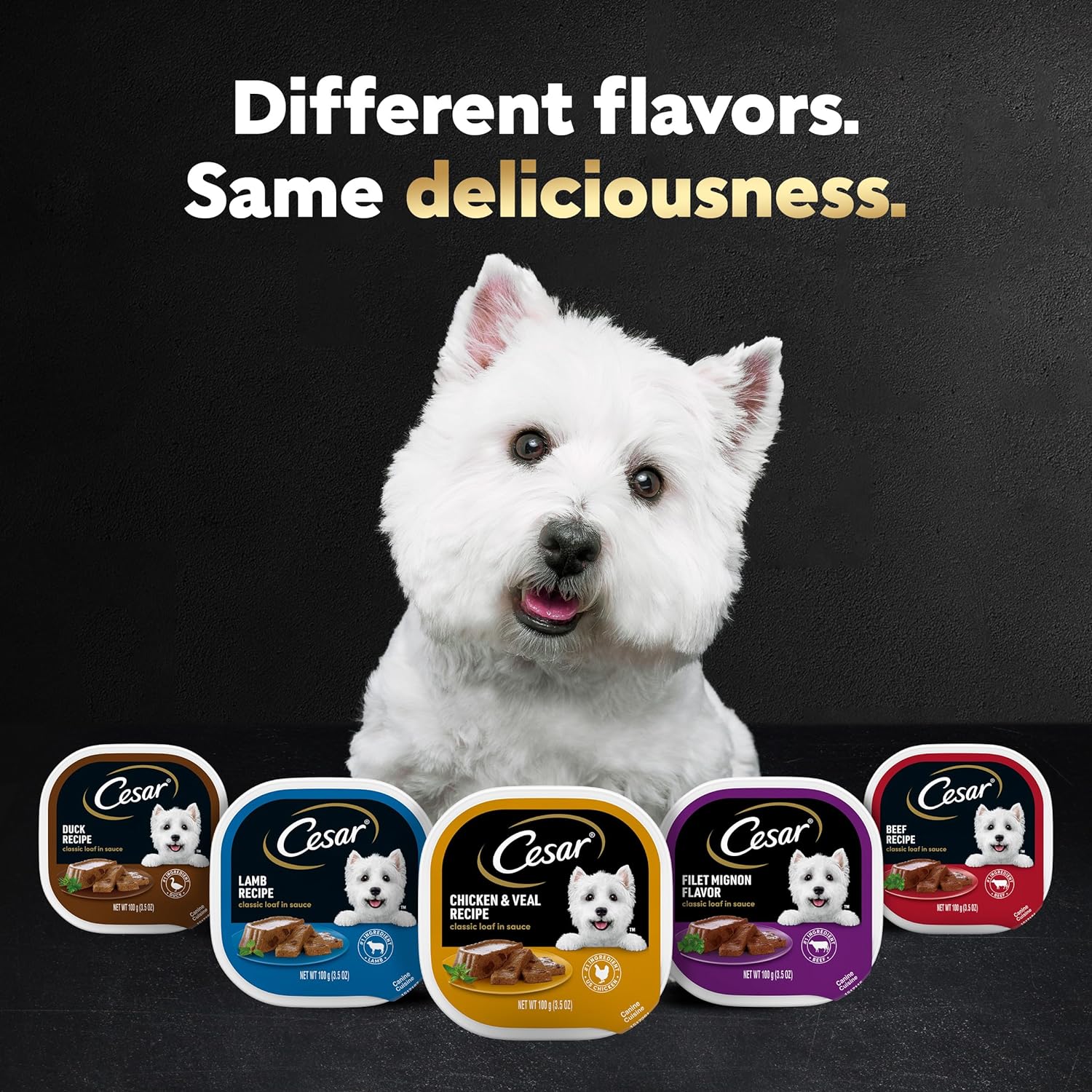CESAR Classic Loaf – Alimento húmedo para perros, juego de 24 bandejas en salsa gourmet