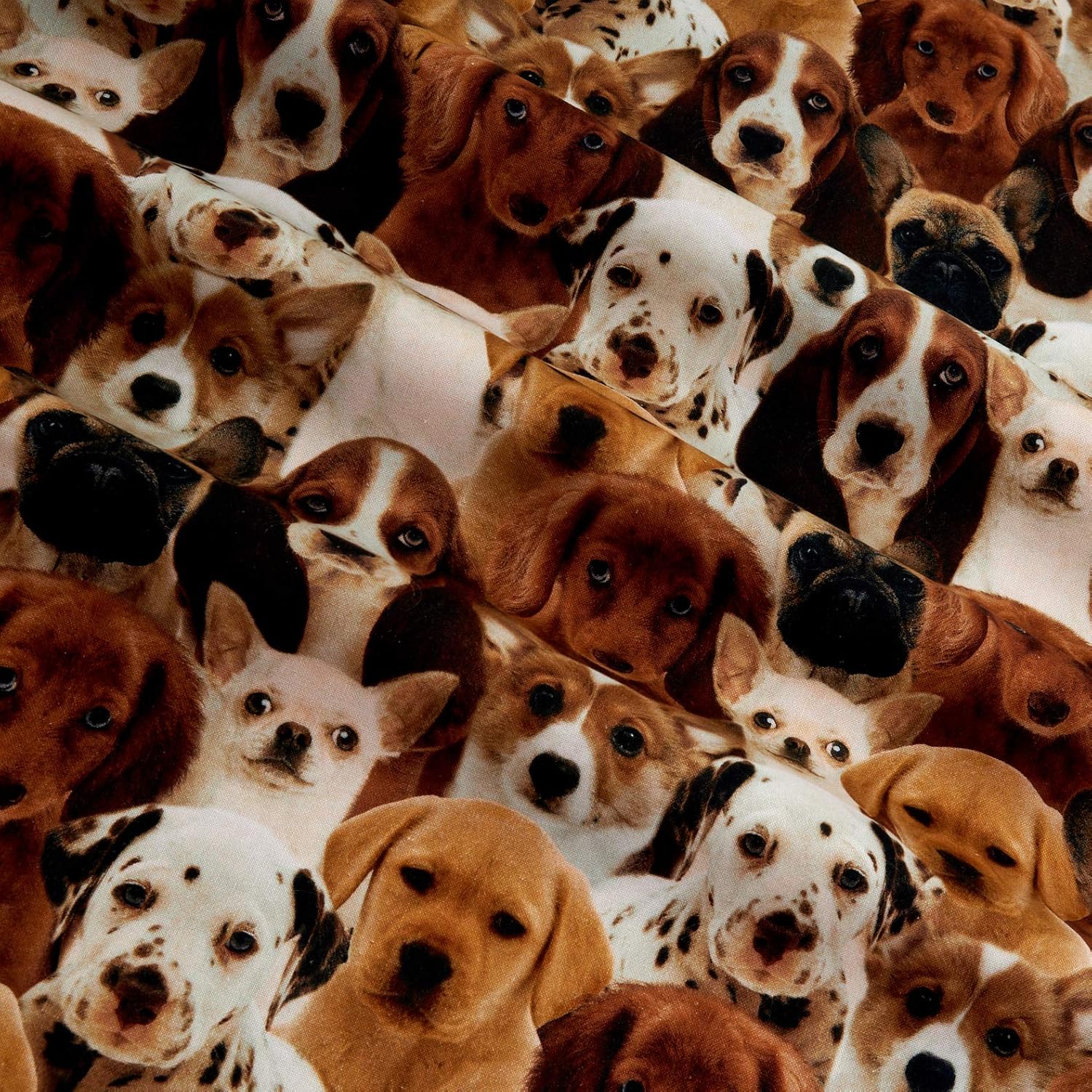One Of A Kind Puppies Multi, tela por yarda