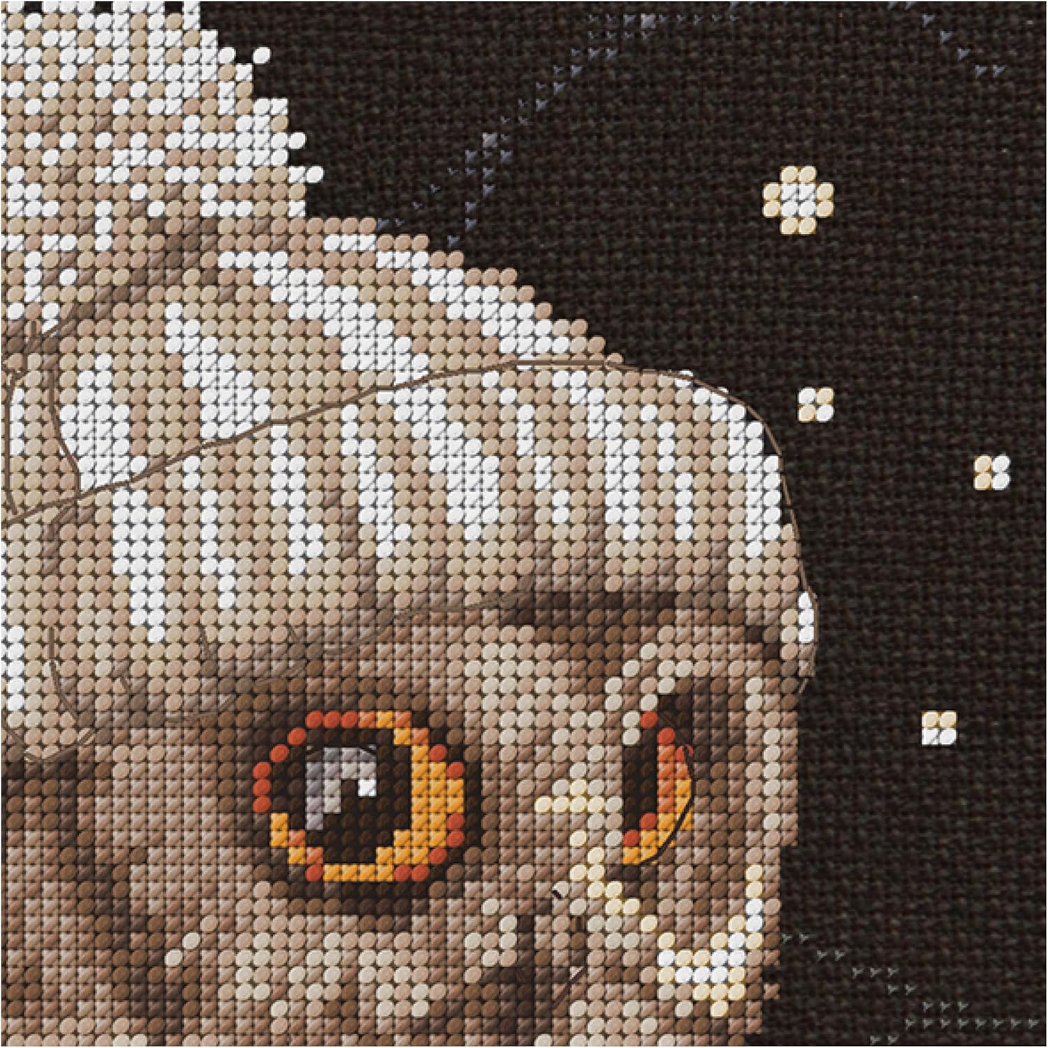 Thea Gouverneur – Kit de punto de cruz, Whoo..Whoo..It’s Winter – Aida Black – 16 unidades – Kit de bordado para adultos – Hilos de bordado DMC y