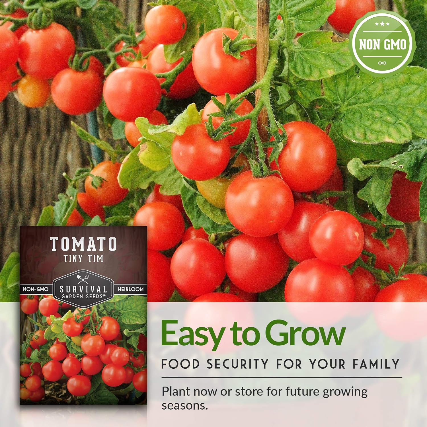 Survival Garden Seeds – Tiny Tim Semilla de tomate para plantar – Paquete con instrucciones para plantar y cultivar tomates pequeños en tu huerto