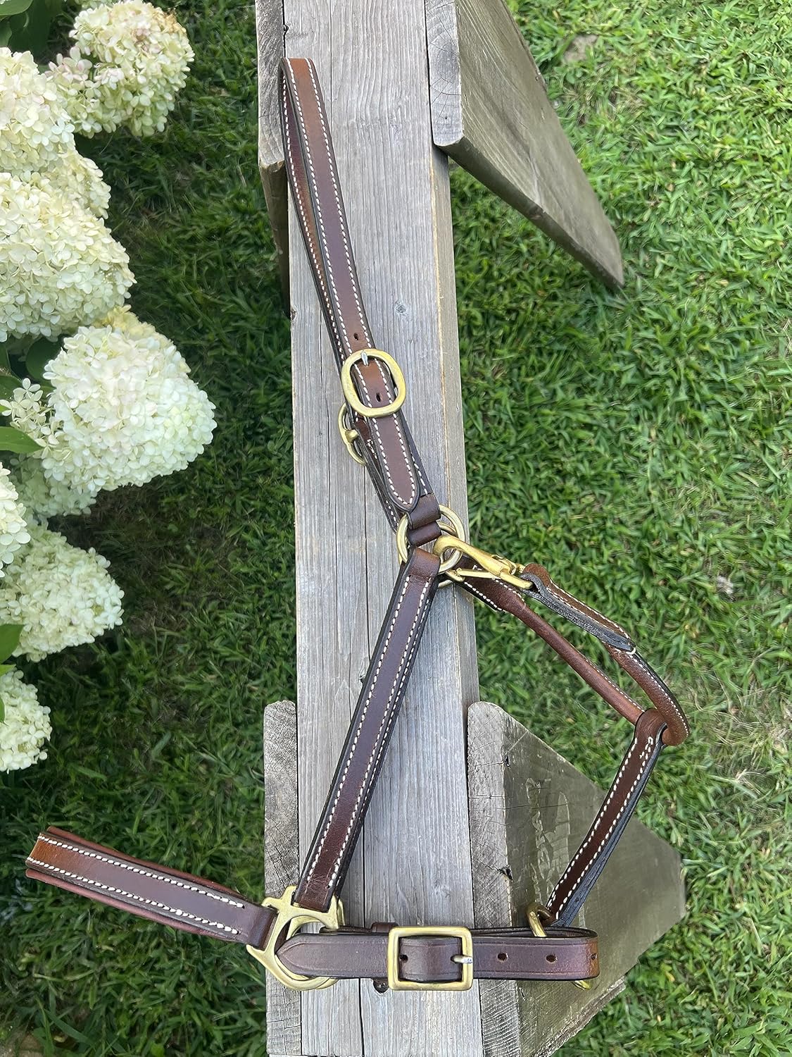 Leaders – Cabestro de cuero acolchado de 34 pulgadas para caballos con placa de nombre grabada personalizada, cuero marrón con herrajes de latón