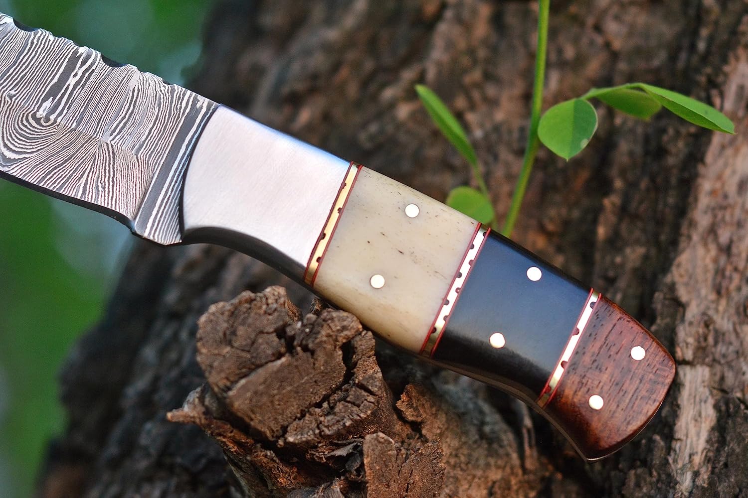 Nuevo hecho a mano 8 pulgadas hoja fija Damasco Bushcraft Skinner para caza al aire libre supervivencia cuchillo con funda de cuero