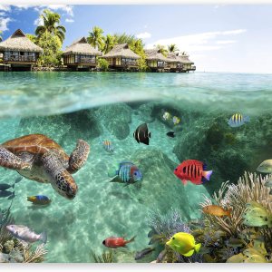 artgeist Mural de pared premium mundo submarino, 138 x 101 pulgadas, papel tapiz no tejido XXL, decoración de pared de vellón, impresión artgeist Mural de pared premium mundo submarino, 138 x 101 pulgadas, papel tapiz no tejido XXL, decoración de pared de vellón, impresión