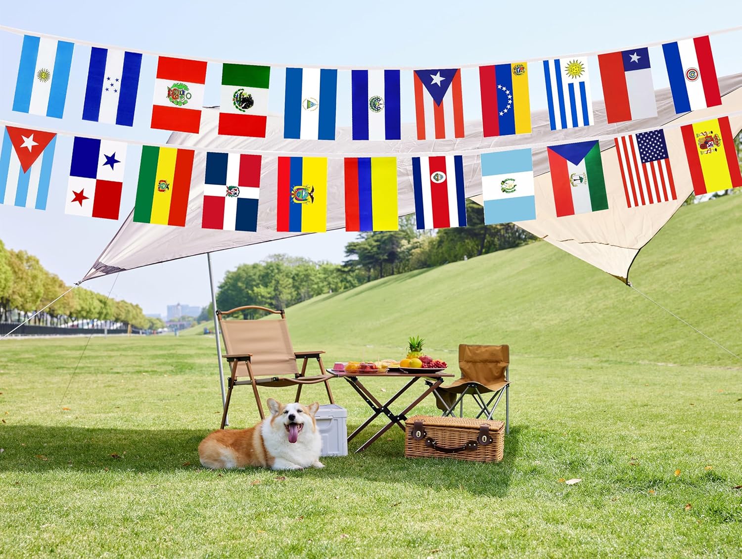 Banderas de cuerda para decoración de América Latina, 22 banderas de países de habla española, banderines para decoración de eventos del mes de la