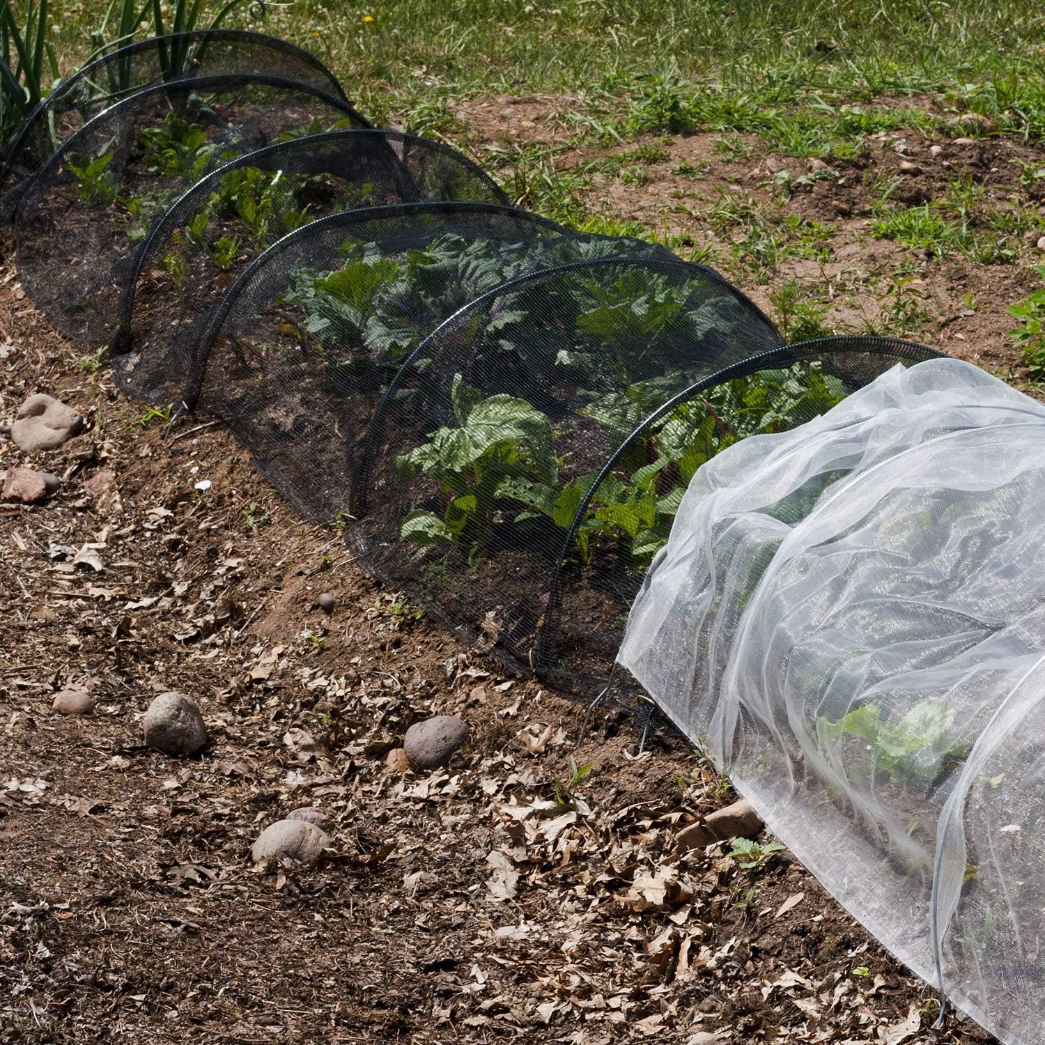 Zonon Red de malla para insectos para jardín, barrera de red para pájaros y moscas, protección de plantas ciegas (negro, 9.84 x 65.62 pies)