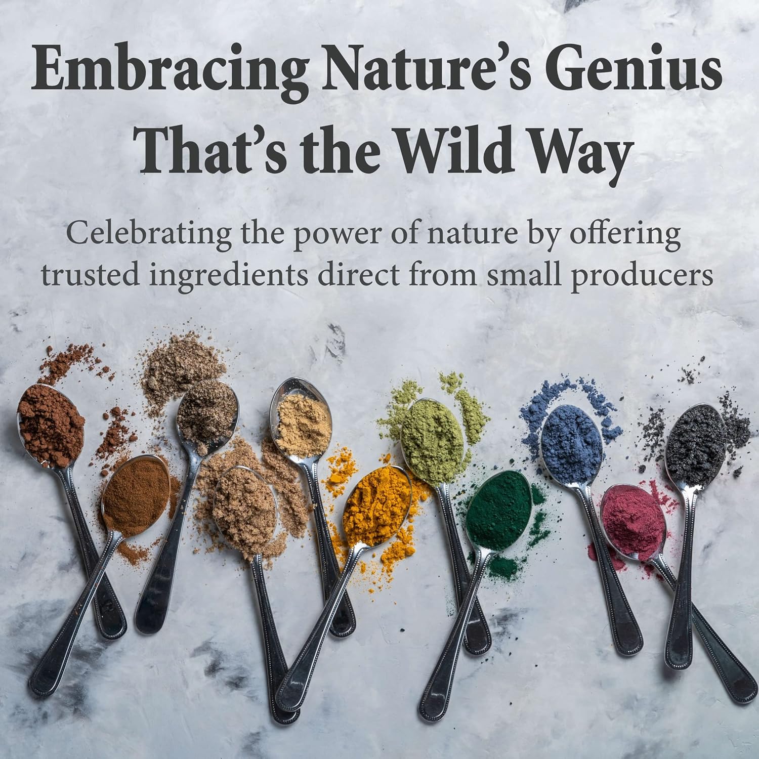 Wild Foods – Extracto de hongos Reishi 101 superalimento en polvo  Solo cuerpos fructíferos  Hierba adaptogénica para el sistema inmunológico, ayuda
