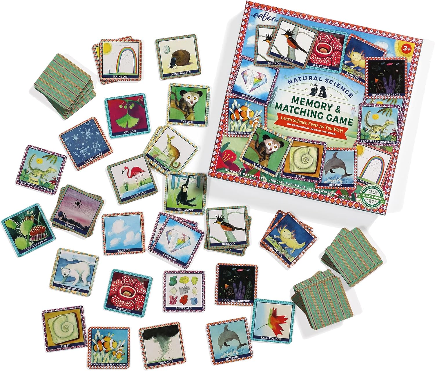 eeBoo Juego de memoria y juego de ciencias naturales, desarrollo y educativo, agudiza el reconocimiento, la concentración y la memoria, perfecto