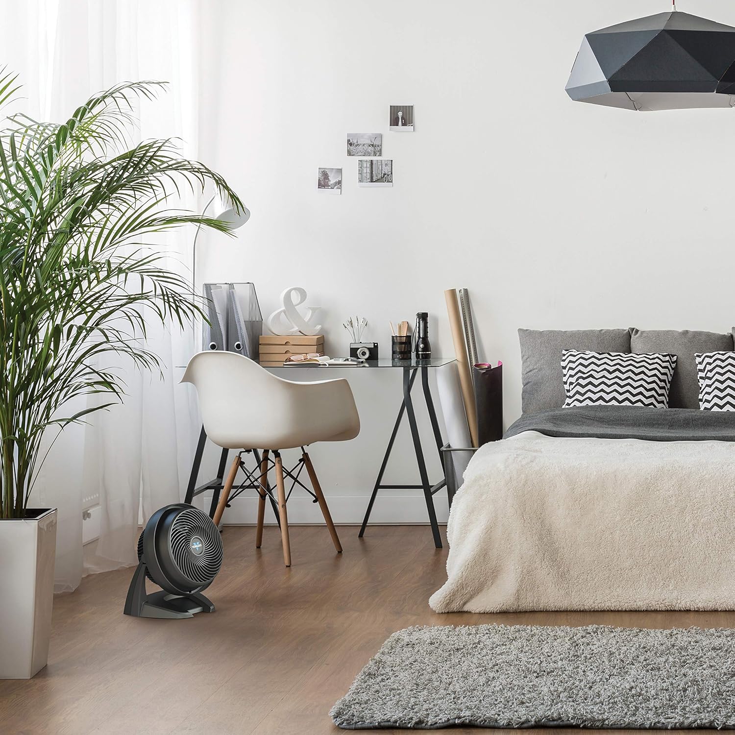 Vornado Ventilador circulador de aire de tamaño completo 723 y ventilador circulador de aire de tamaño mediano 630 para toda la habitación