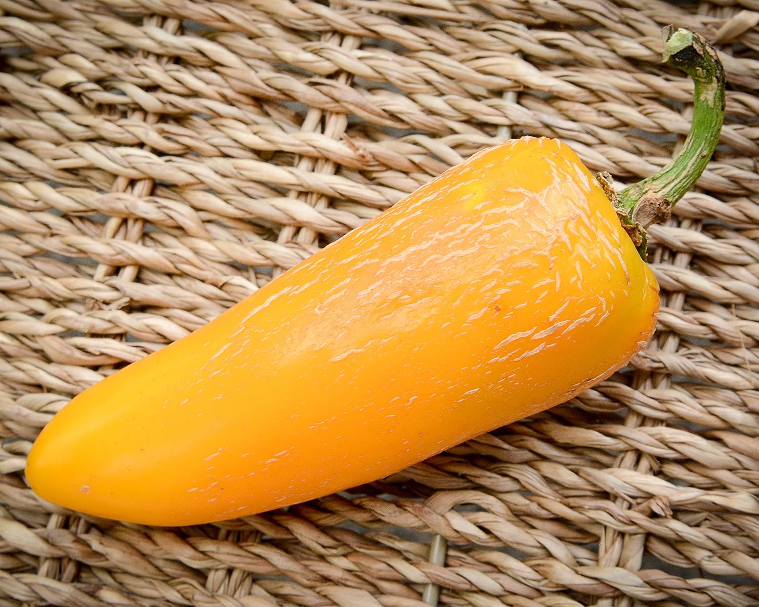 Paquete de semillas prémium de pimienta jalapeña amarilla gigante, el récord más caliente del mundo + más