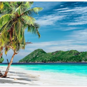 SIGNFORD Adhesivo mural removible para pared, isla tropical vibrante, palmera, playa, naturaleza, desierto, fotografía, paisaje rústico, panorama SIGNFORD Adhesivo mural removible para pared, isla tropical vibrante, palmera, playa, naturaleza, desierto, fotografía, paisaje rústico, panorama