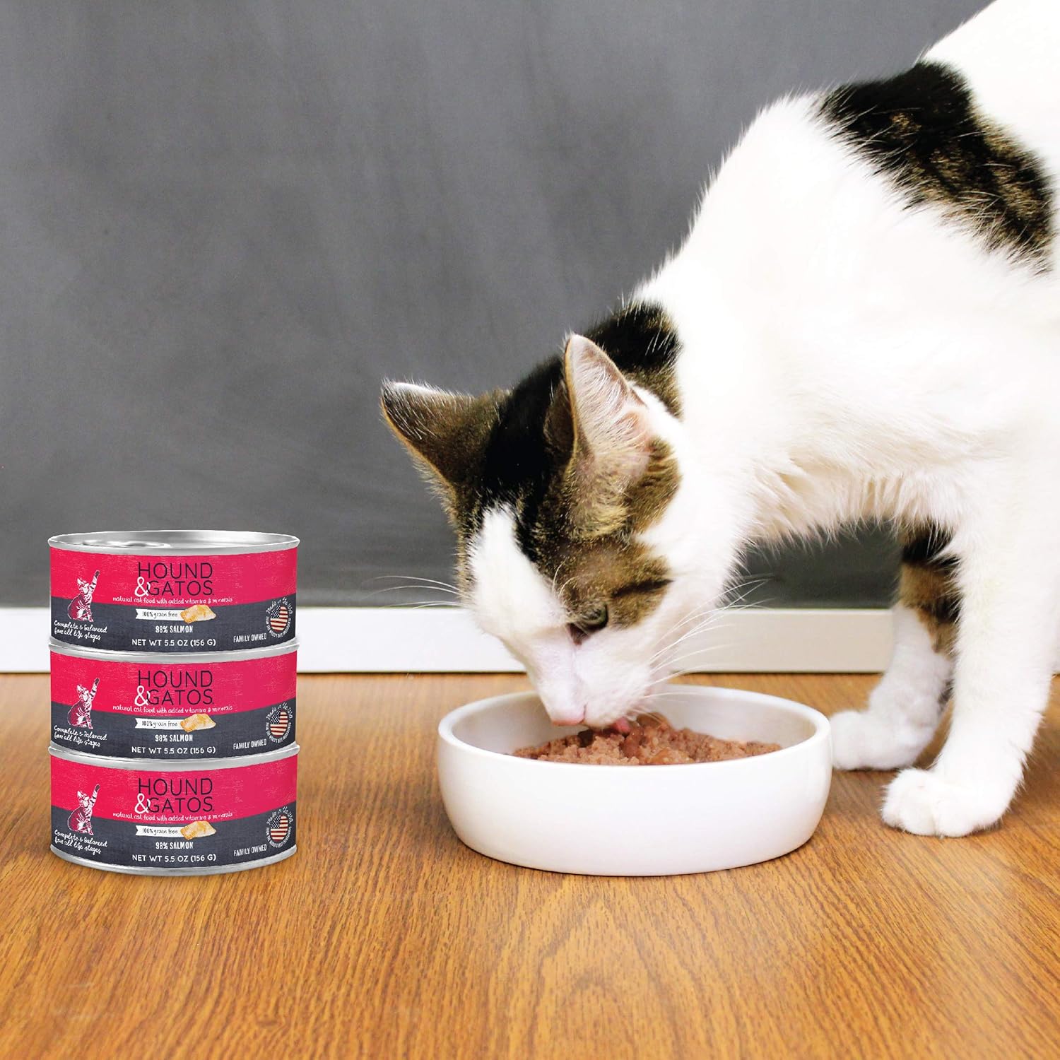Hound & Gatos Alimento húmedo para gatos, 98% salmón, caja de 24, latas de 5.5 onzas