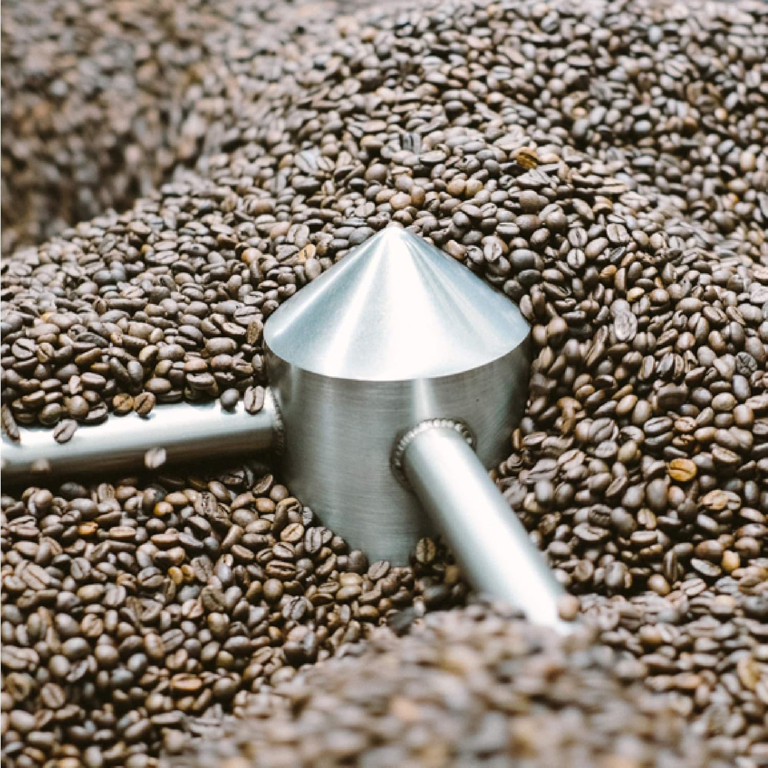For Five Coffee Roasters – Tostado en Nueva York – El Salvador La Esperanza Tostado Ligero (Origen Apaneca, El Salvador), Grano Entero 12oz