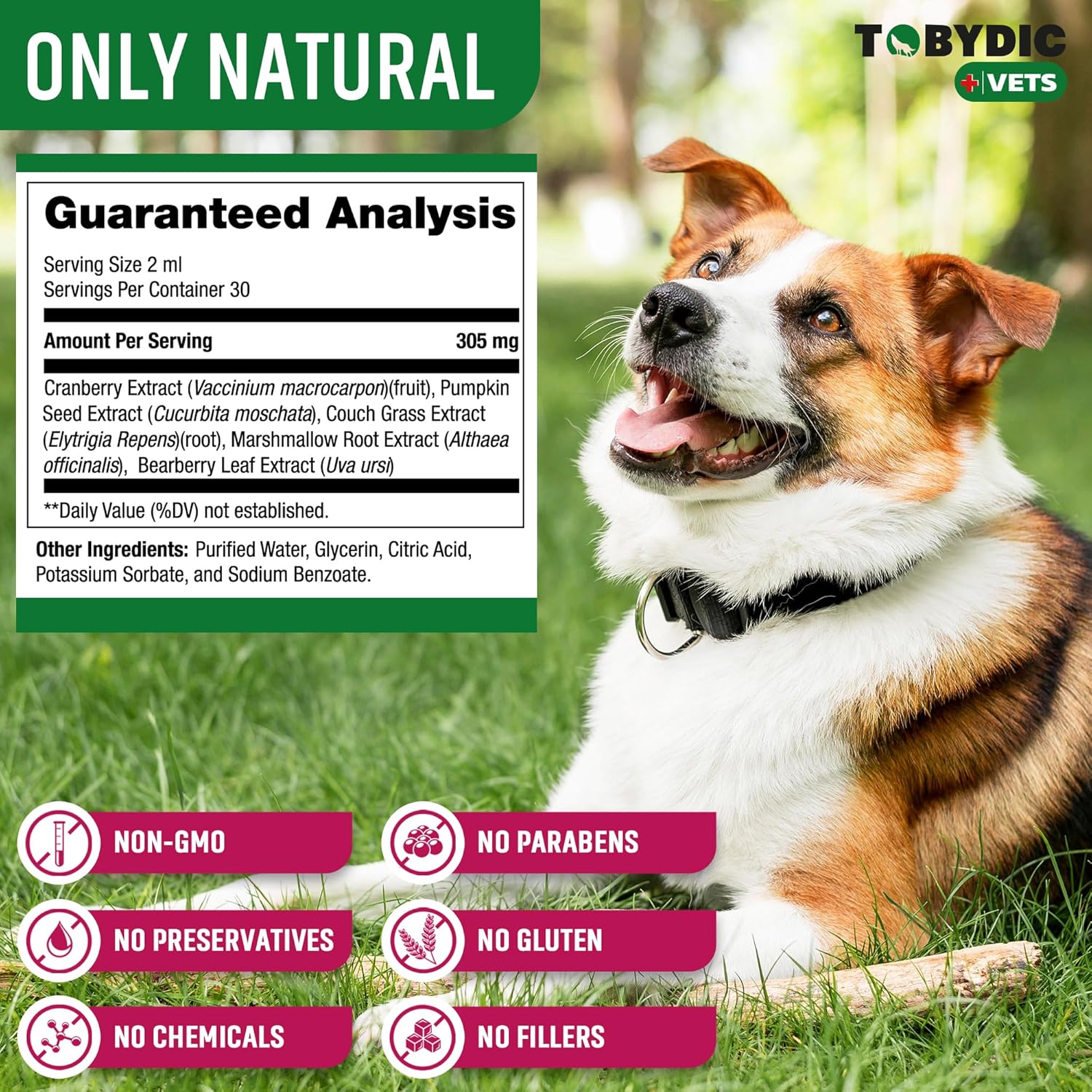 Cat & Dog Natural UTI Medicina y tratamiento de infección del tracto urinario con arándano – Suplemento de apoyo para riñón + vejiga – La mejor